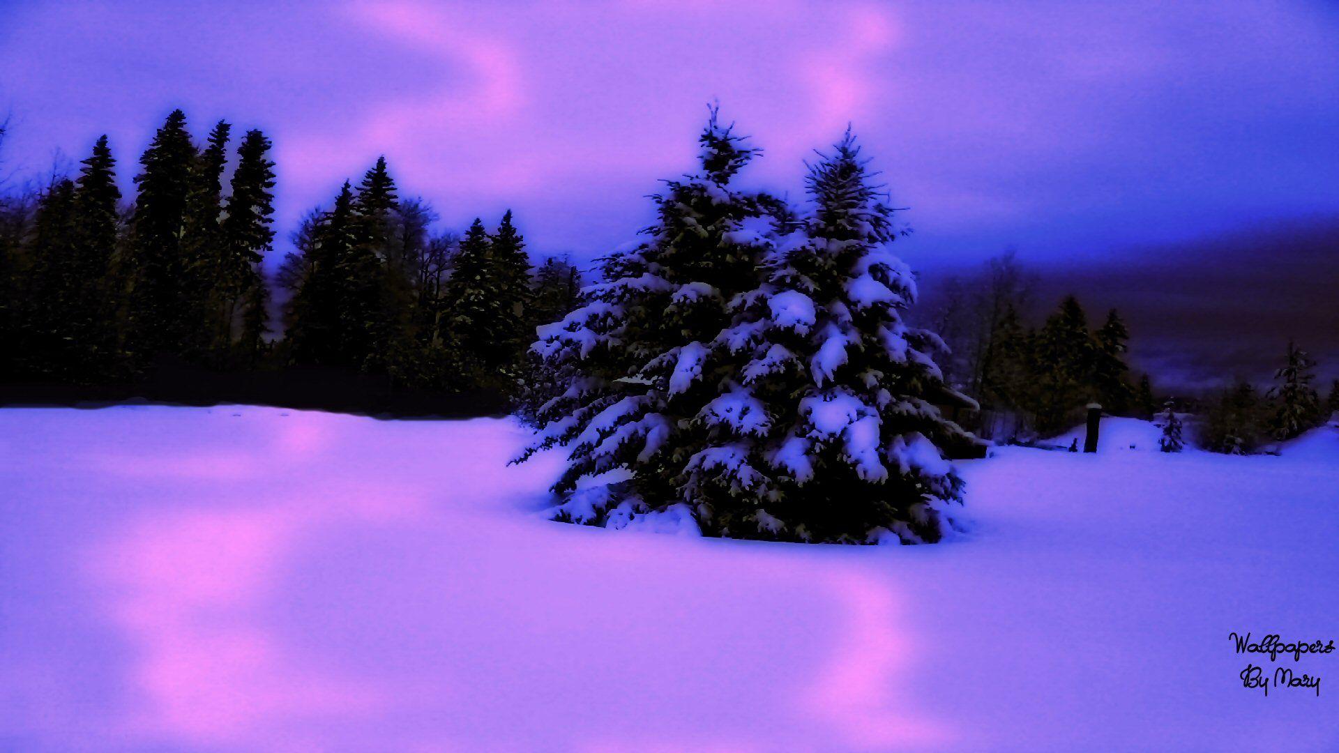 Pink Winter Wallpapers - Top Free Pink Winter Backgrounds - WallpaperAccess