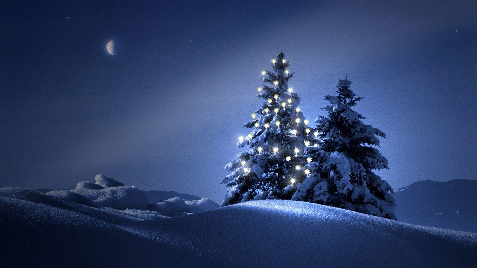 1920x1080 Winter Night Wallpaper