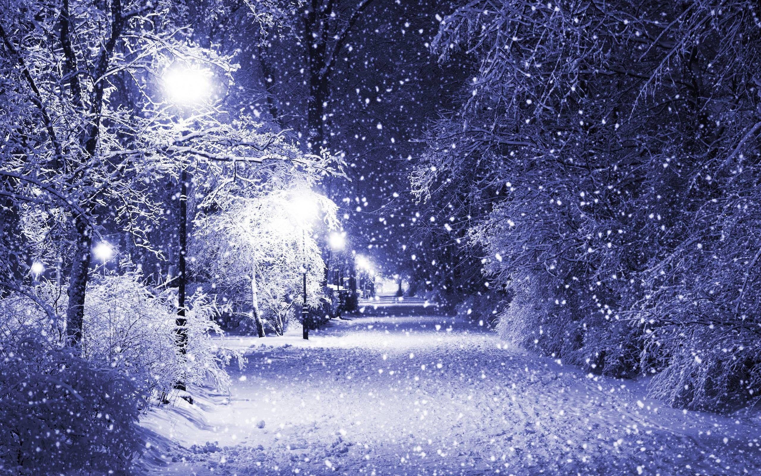 2560x1600 Beautiful Winter Wallpaper