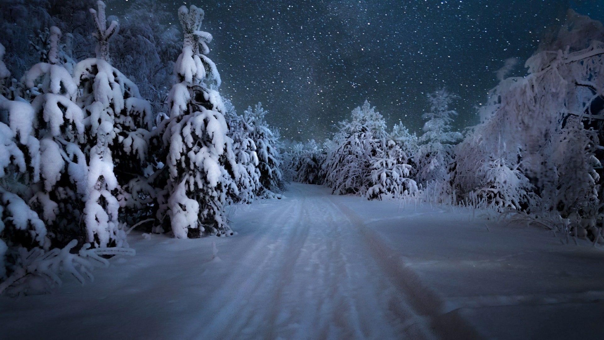 1920x1080 Winter Forest Night Wallpaper 609689 Forest At Night