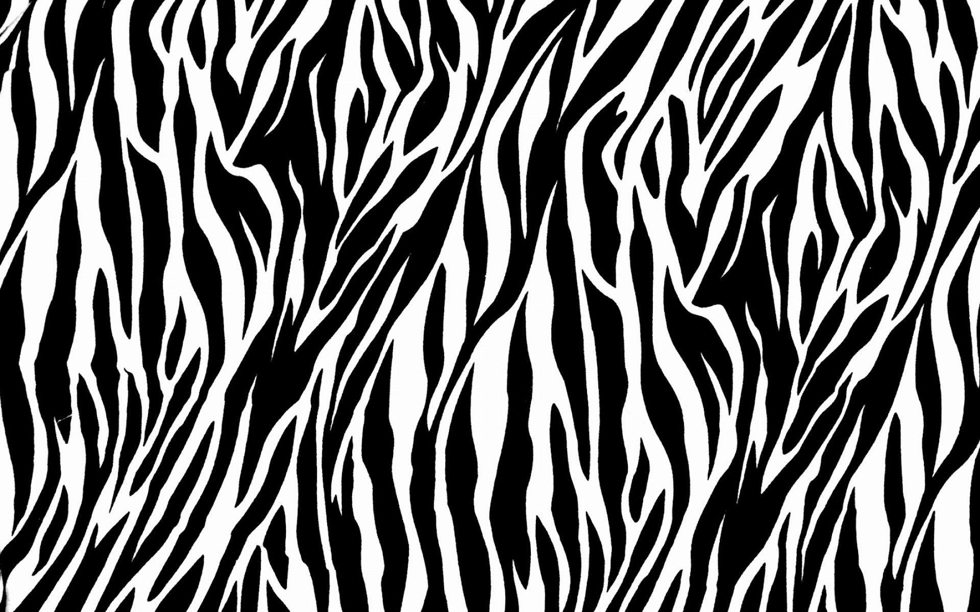 Black and White Animal Print Wallpapers Top Free Black and White