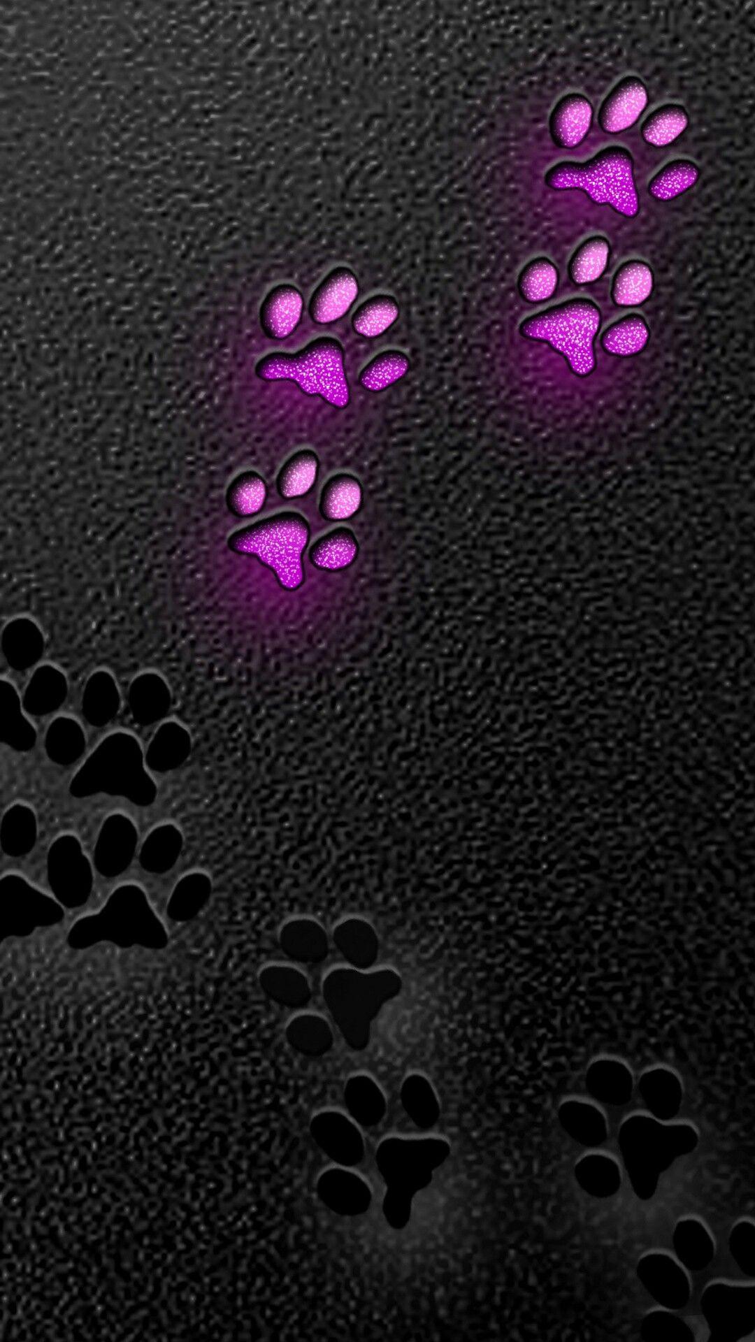 Dog Paw Wallpapers - Top Free Dog Paw Backgrounds - WallpaperAccess