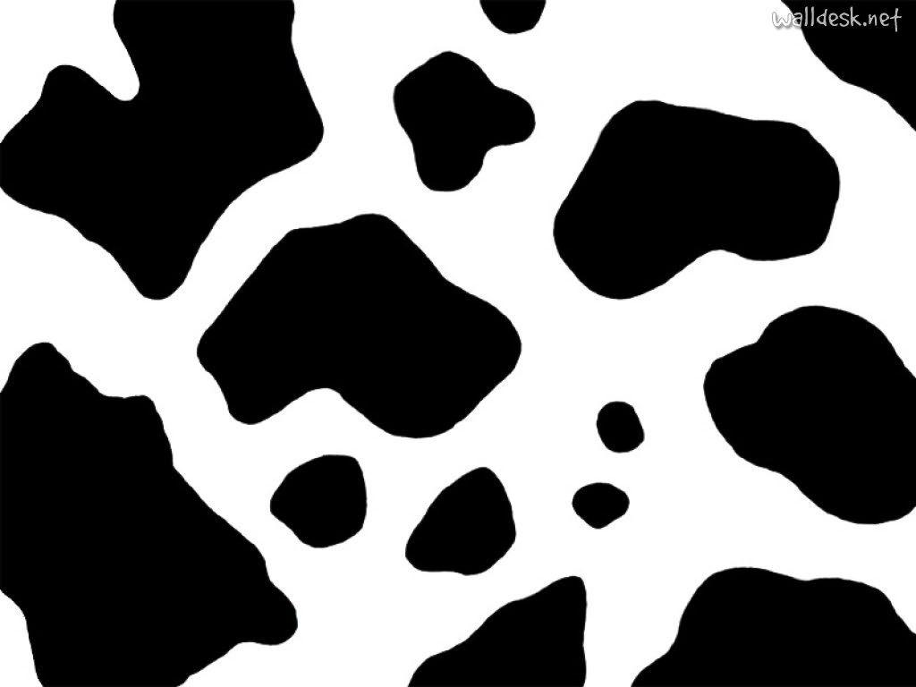 Cow Print Wallpapers Bigbeamng