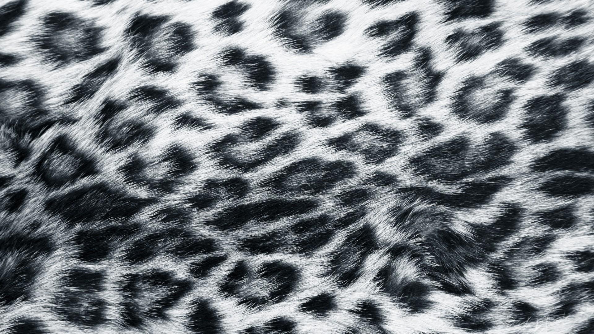 1920x1080 Download Animal Print Background, High Quality Wallpaper