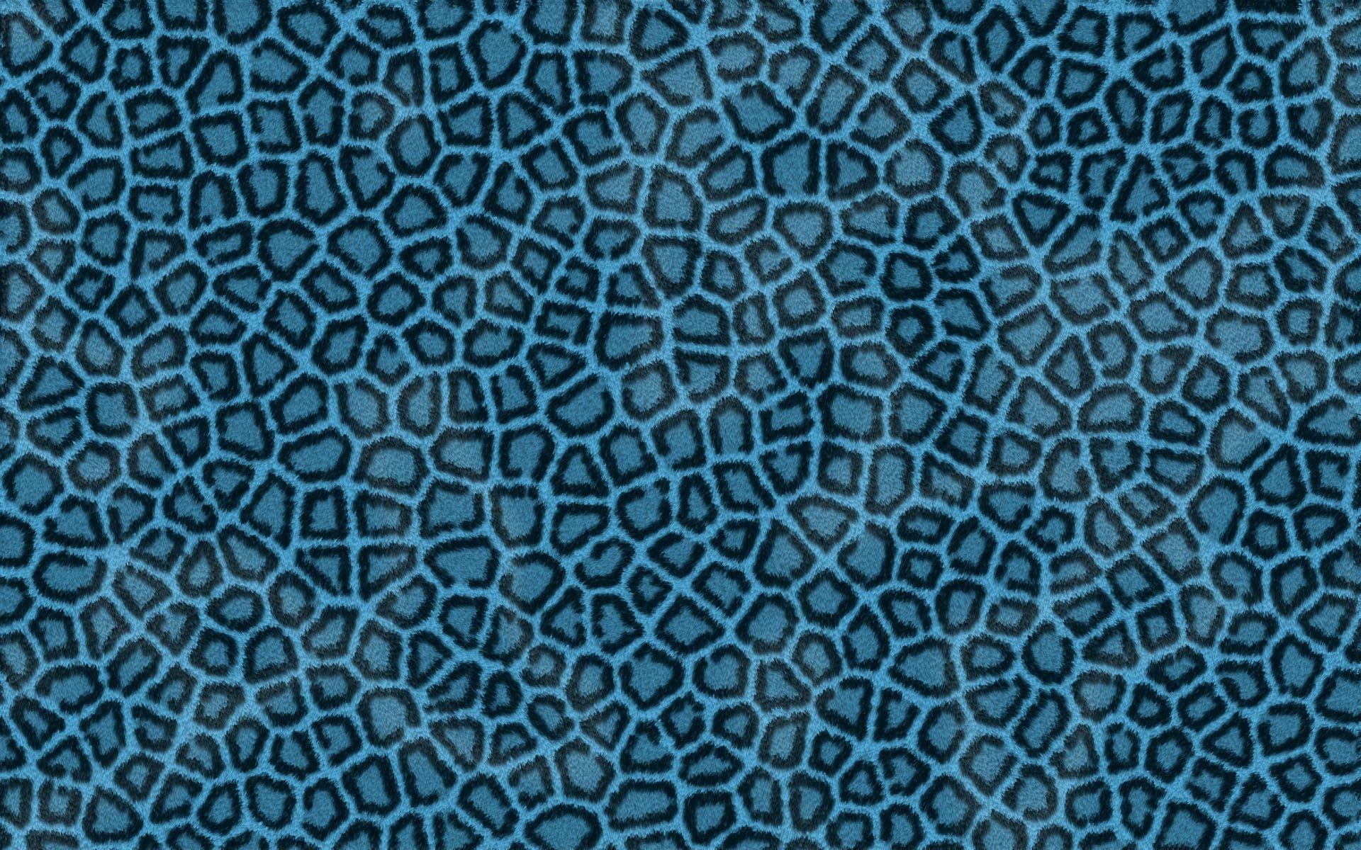 1920x1200 Blue and black animal print pattern HD wallpaper. Wallpaper