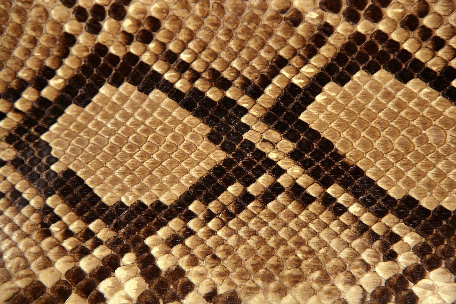 1500x1000 Snake Skin Texture, HD Wallpaper & background Download