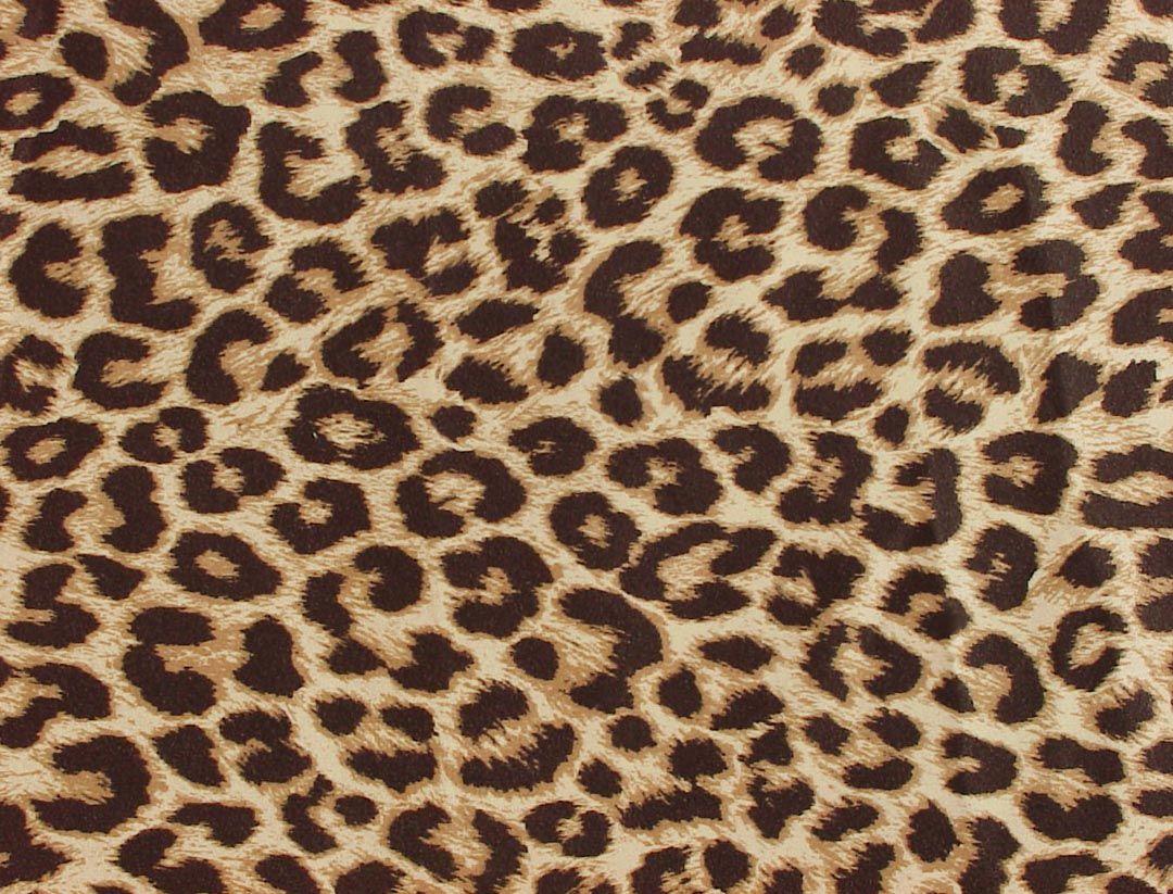 1080x823 Free Zebra And Cheetah Wallpaper, Download Free Clip Art, Free Clip Art on Clipart Library
