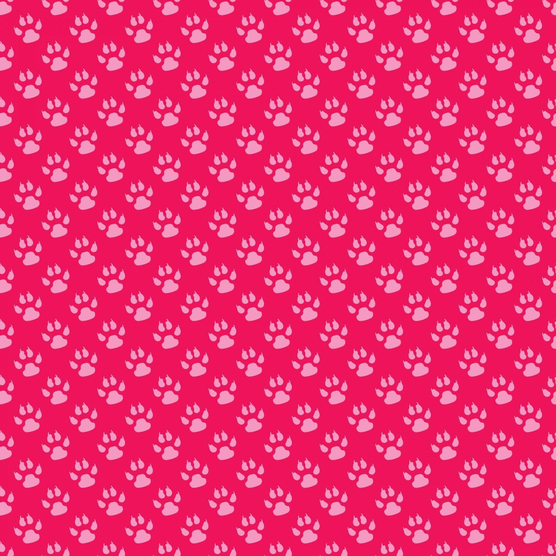 1920x1920 Dog Paws Wallpaper