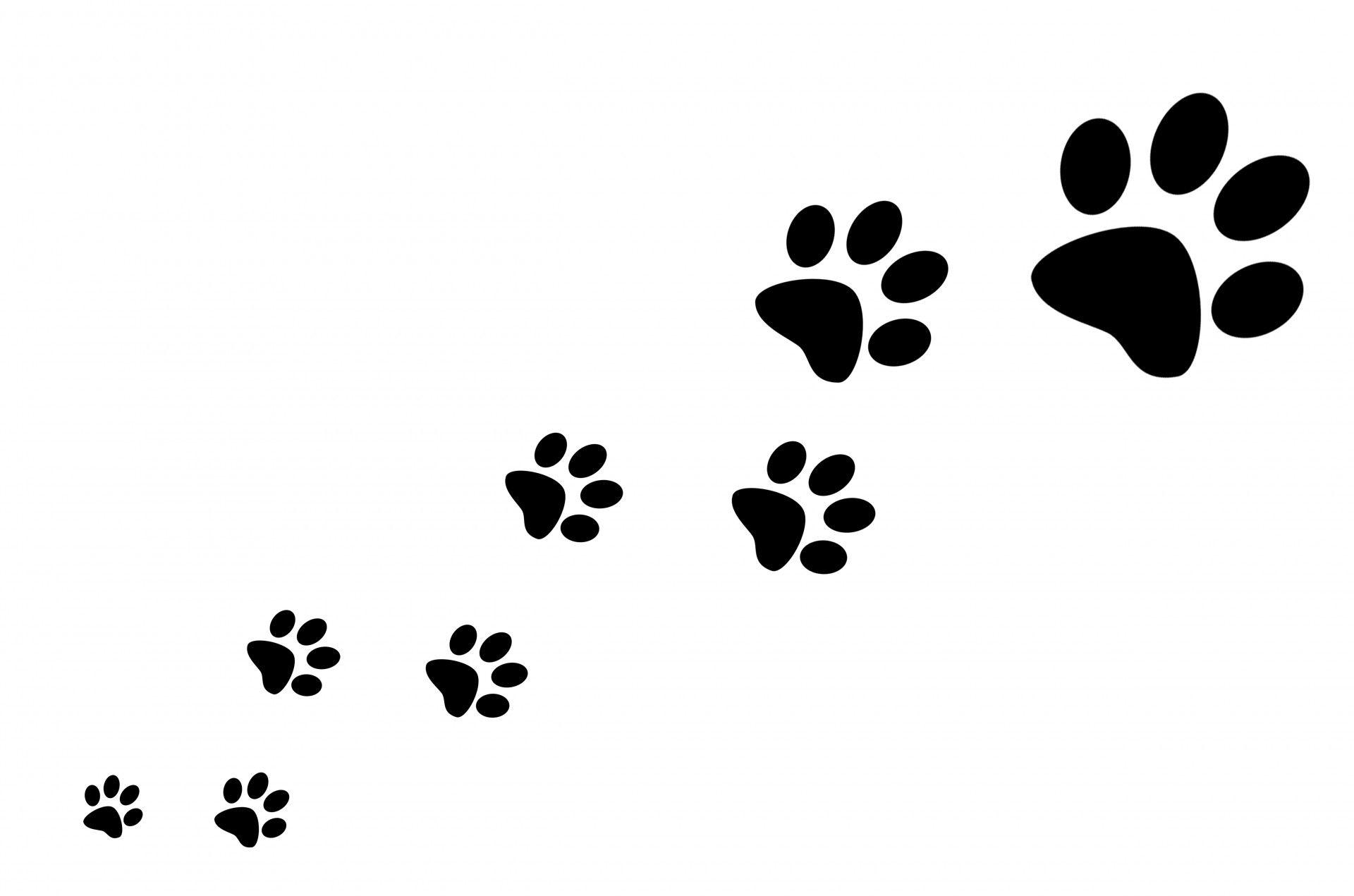 Dog Paw Seamless Pattern vector Cat paw foot print isolated polka dot  wallpaper background black Stock Vector  Adobe Stock