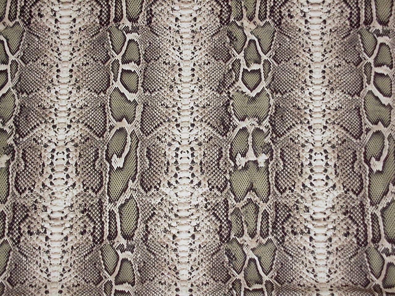 1280x960 Animal Skin Pattern High Definition wallpaper Gallery