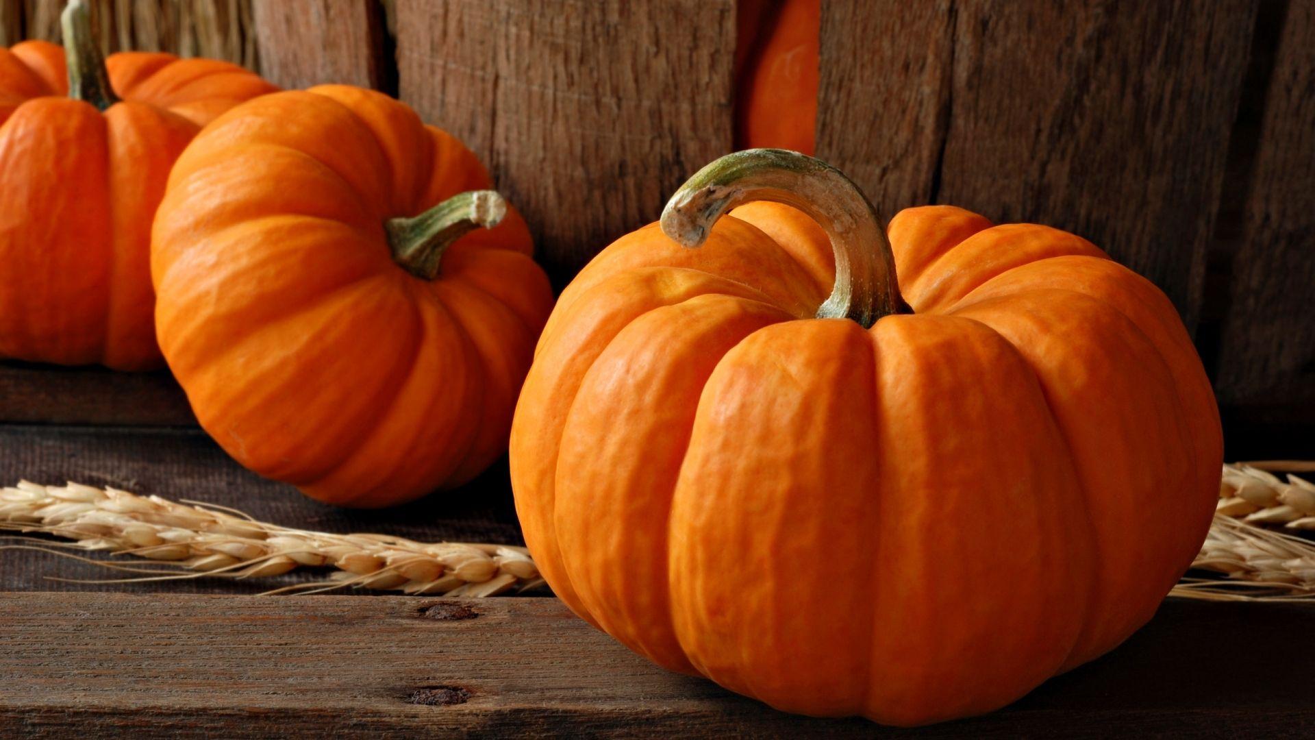 1920x1080 Pumpkin Wallpaper