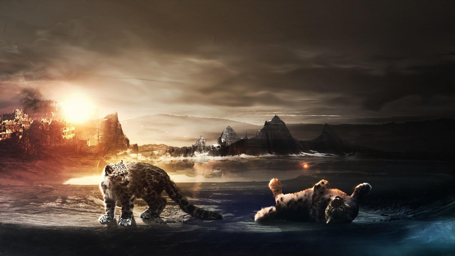 1920x1080 Snow Leopard Cubs Laptop Full HD 1080P HD 4k Wallpaper