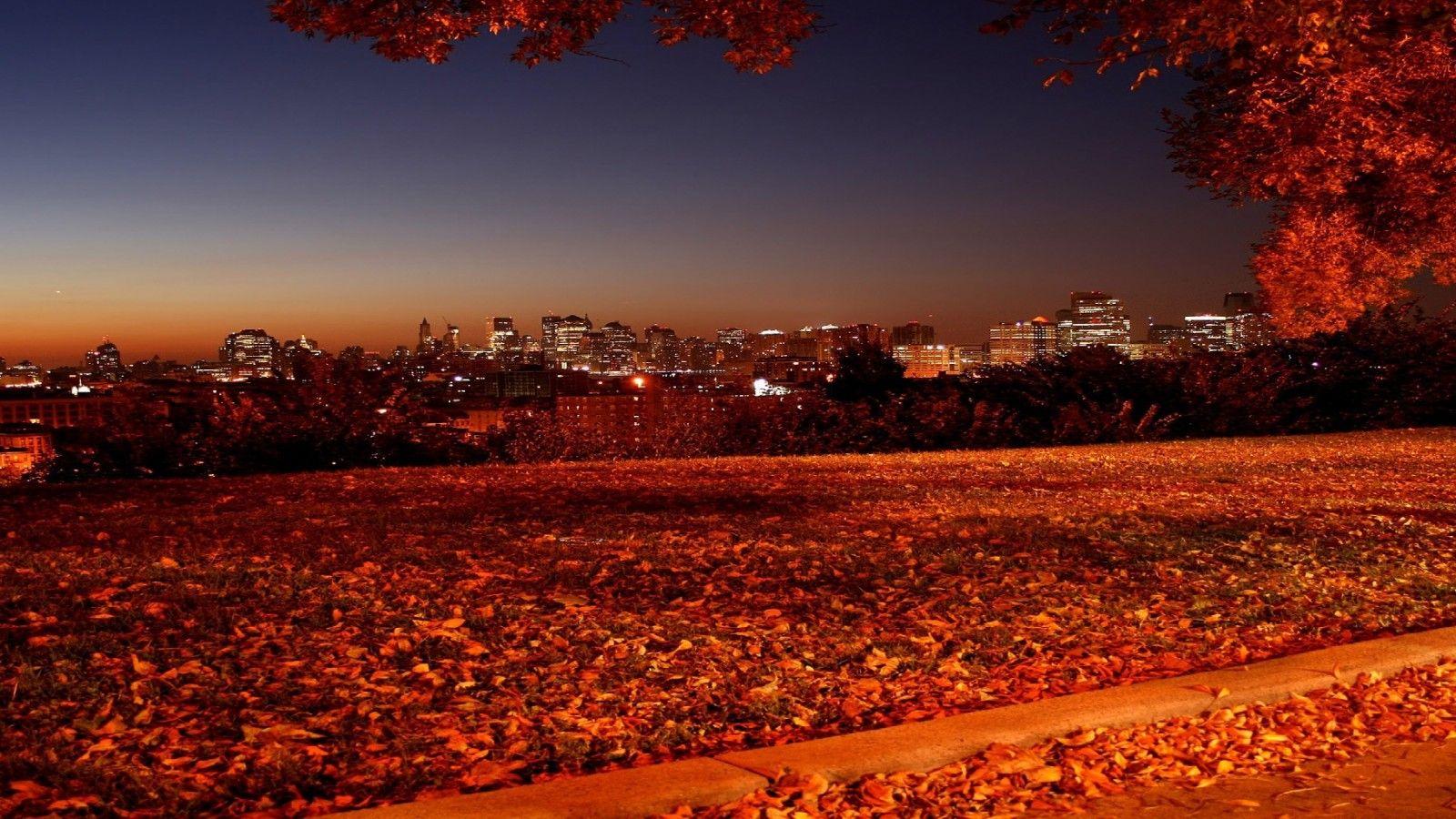 1600x900 Autumn Screen Wallpaper