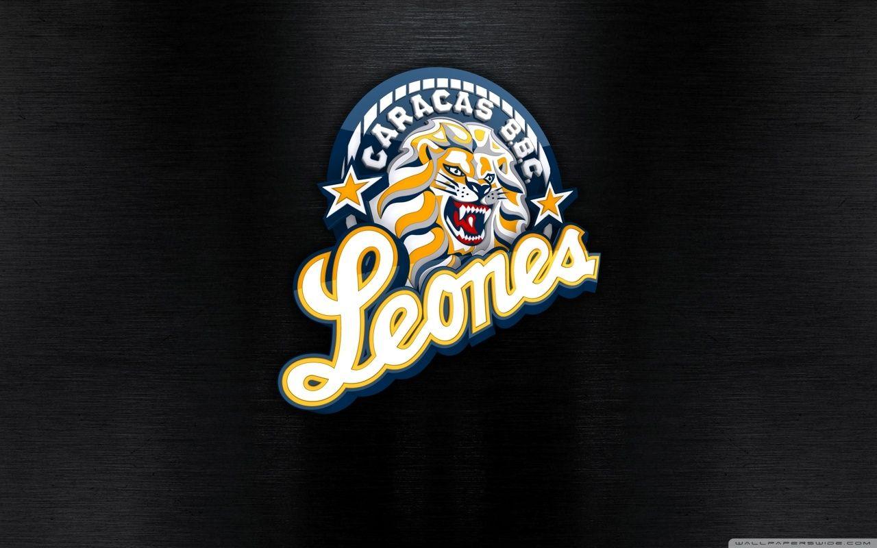 1280x800 Leones del Caracas ❤ 4K HD Desktop Wallpaper for 4K Ultra