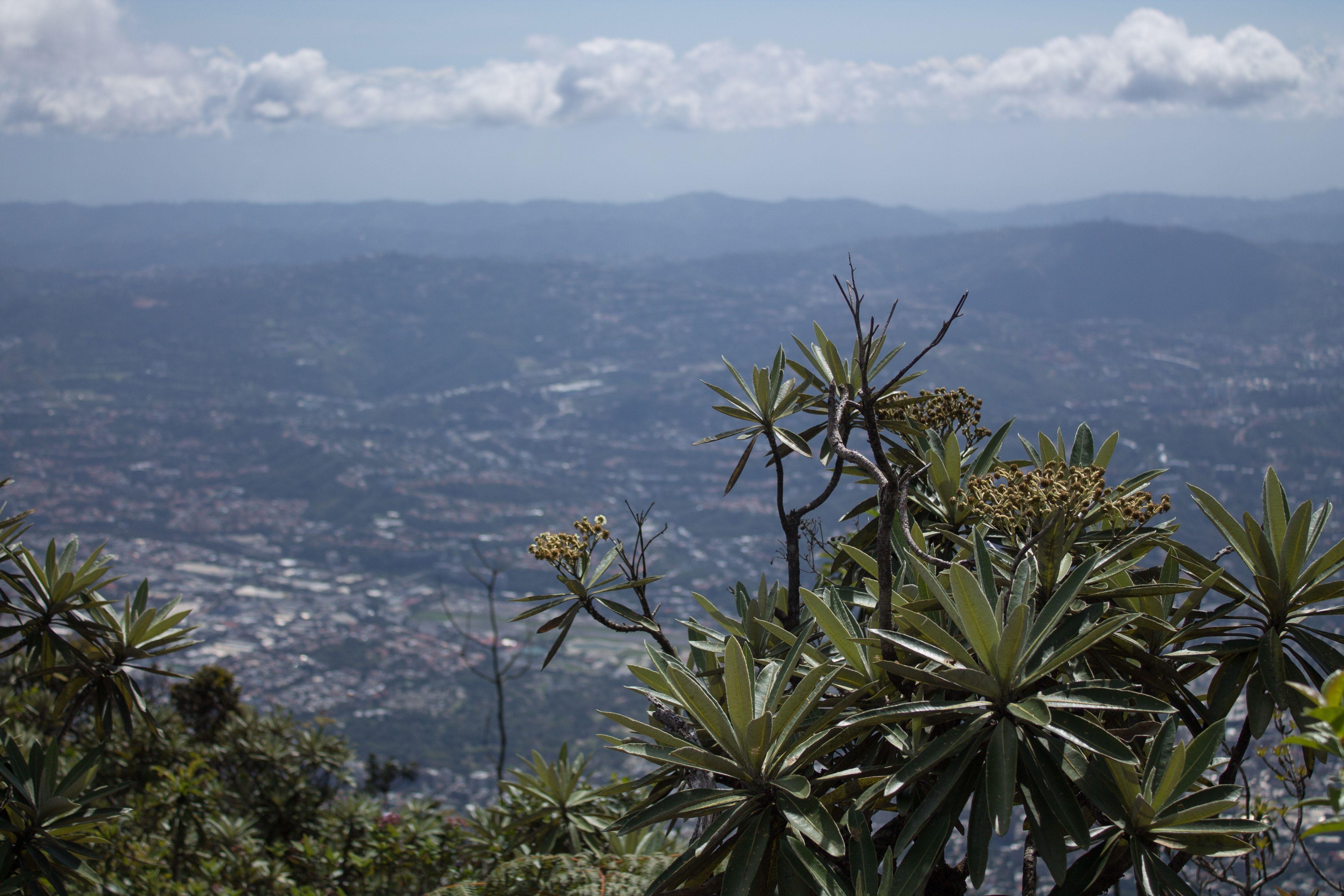 4272x2848 Free of blue skies, caracas, city