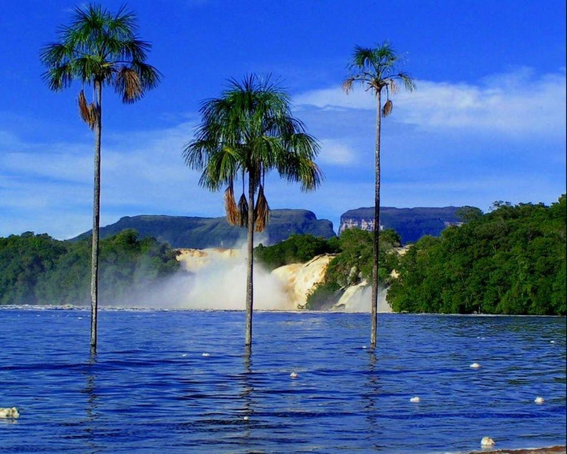 1125x900 Caracas Wallpaper