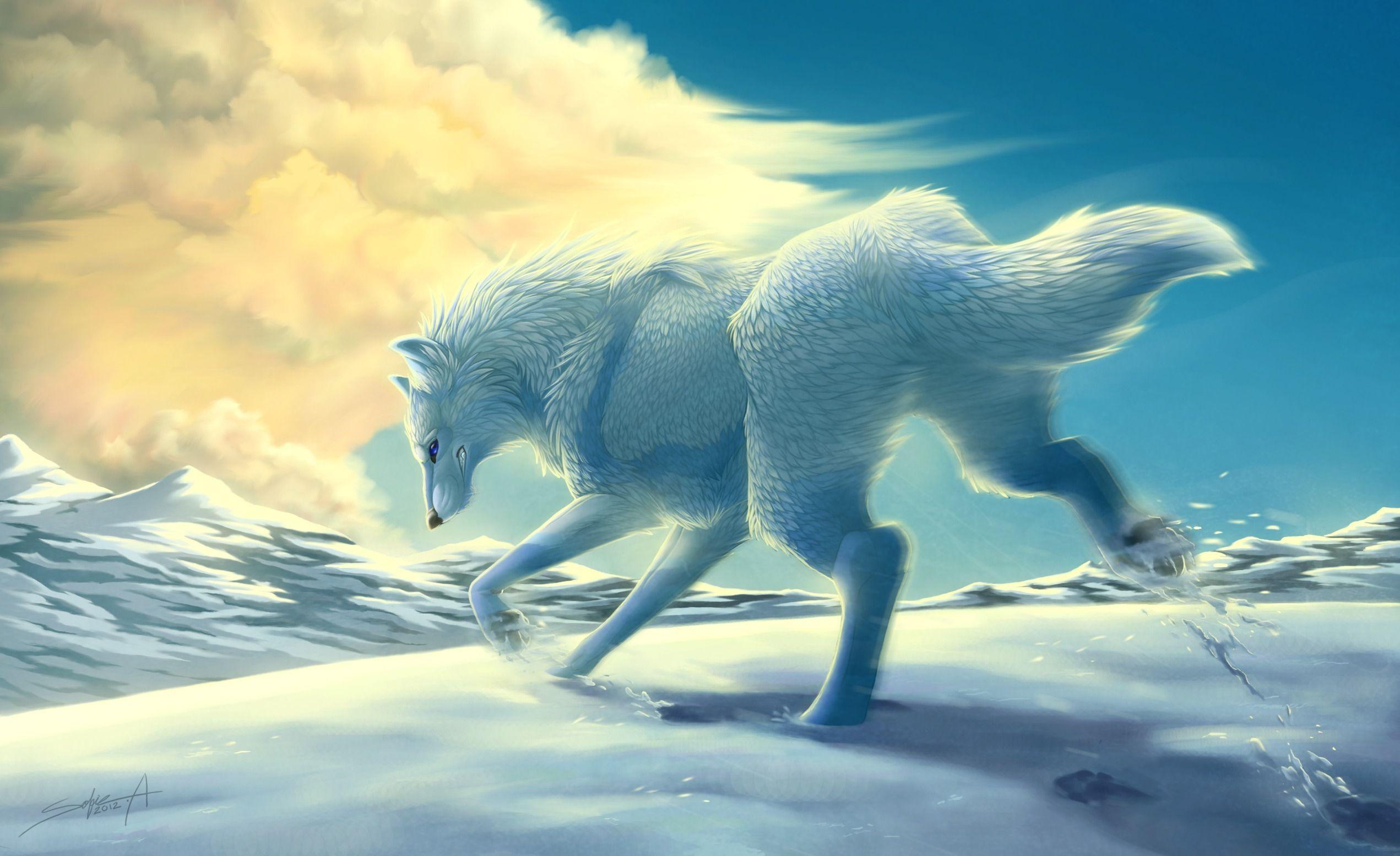 2542x1554 Wolve in Snow Desktop Wallpaper