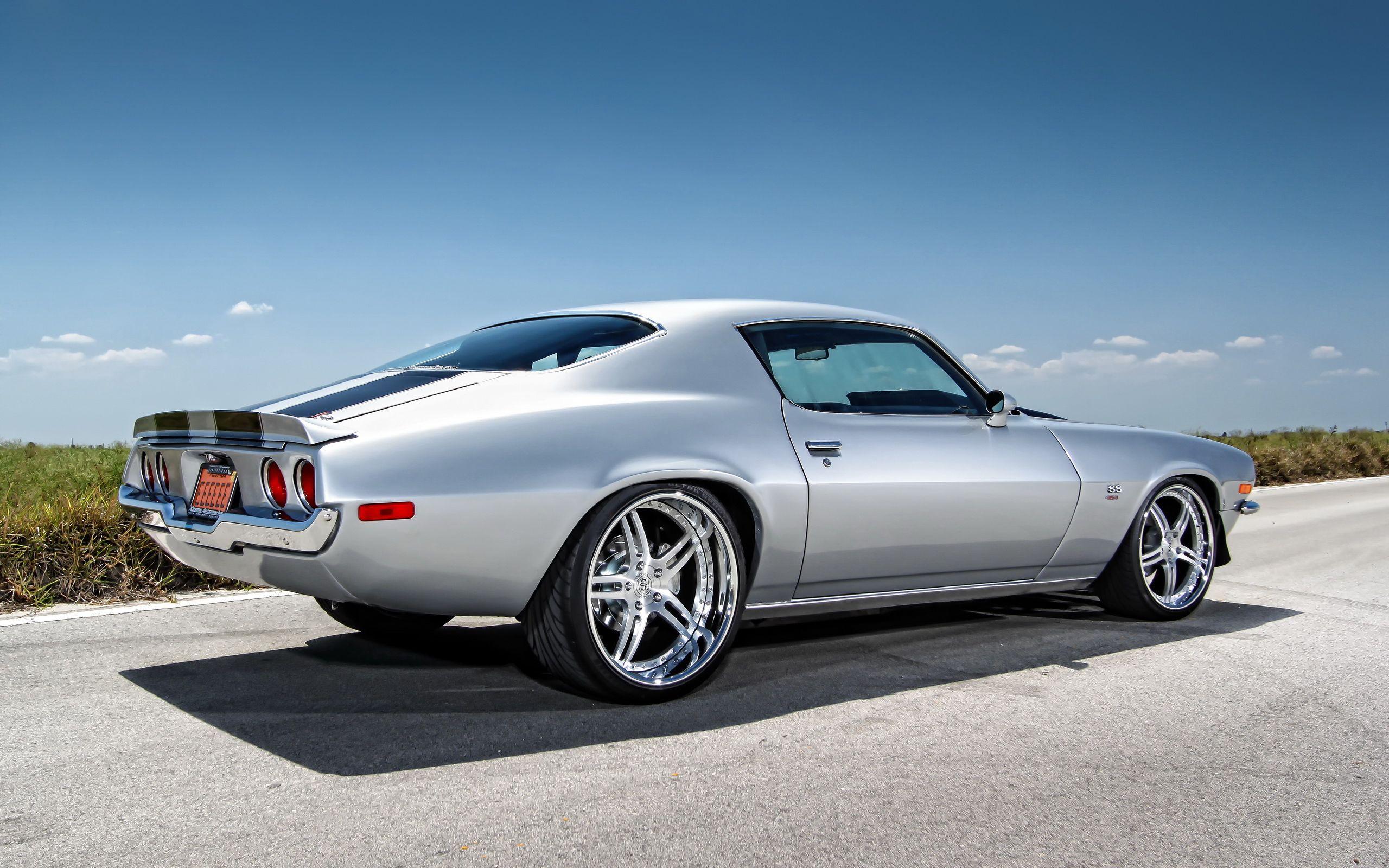 2560x1600 Chevy Camaro Silver Wallpaper