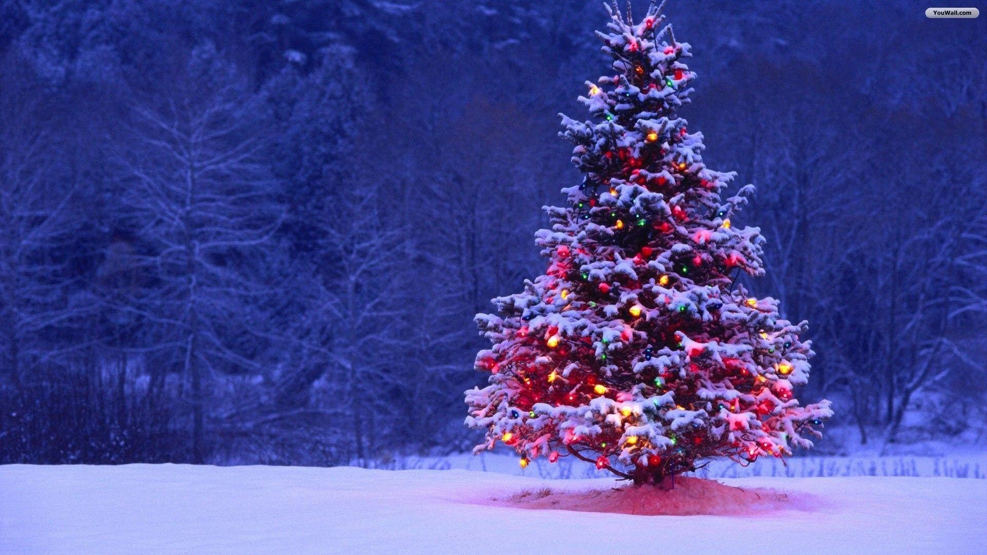 CHRISTMAS BACKGROUND christmas collages chromebook HD wallpaper  Pxfuel