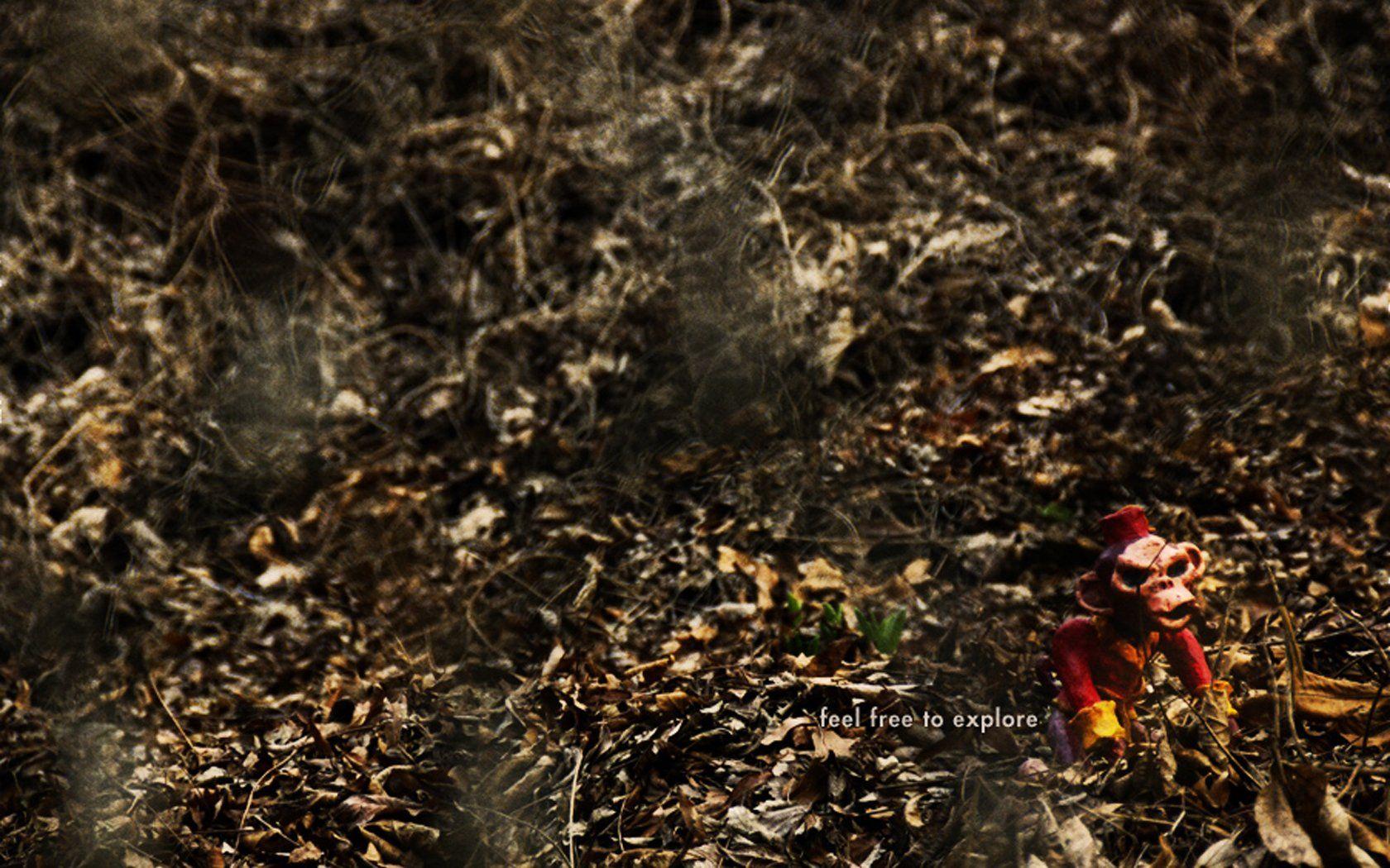 1680x1050 Weird Wallpaper and Background Imagex1050