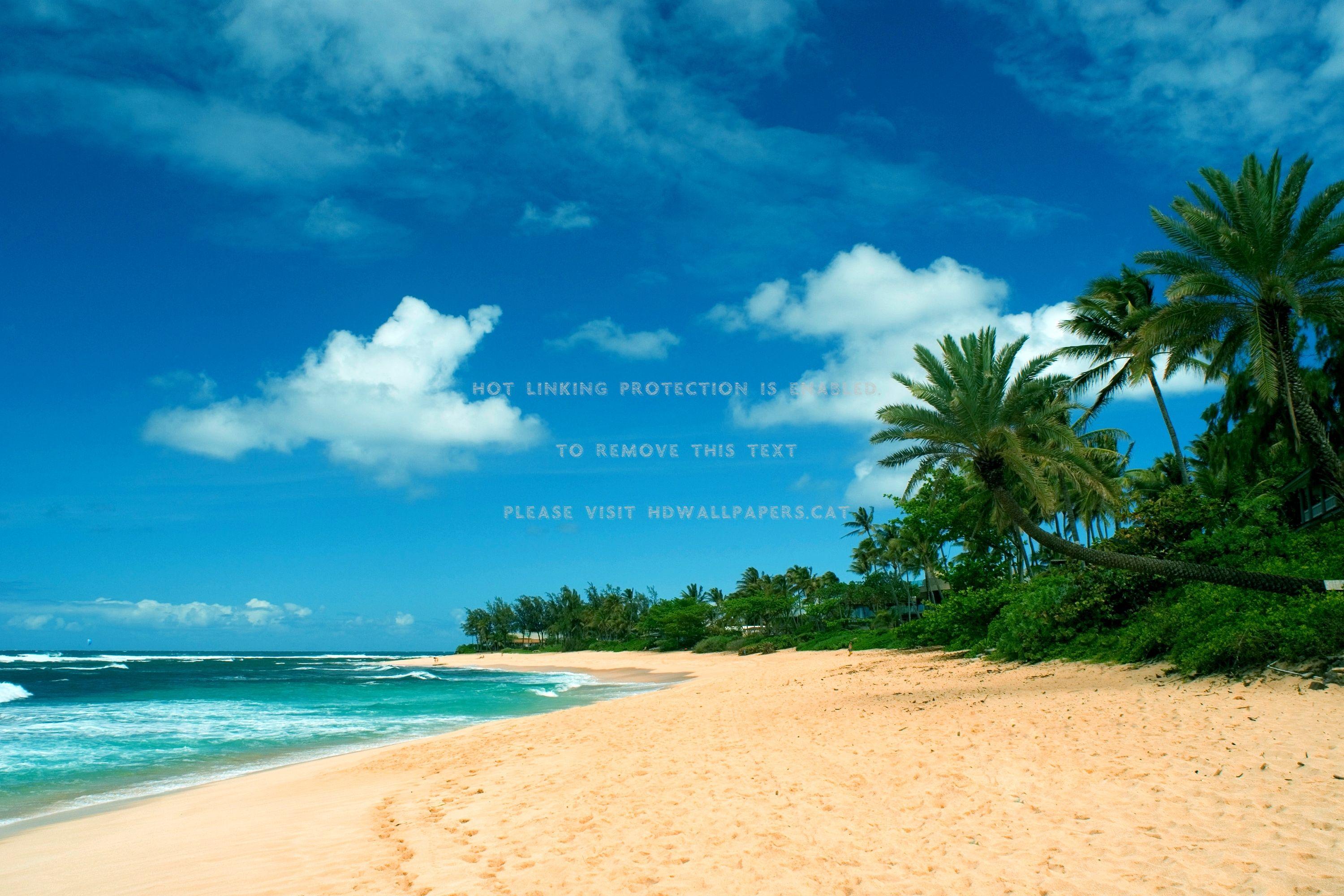 3000x2000 hawaiian beach pacific water sandy surf sun