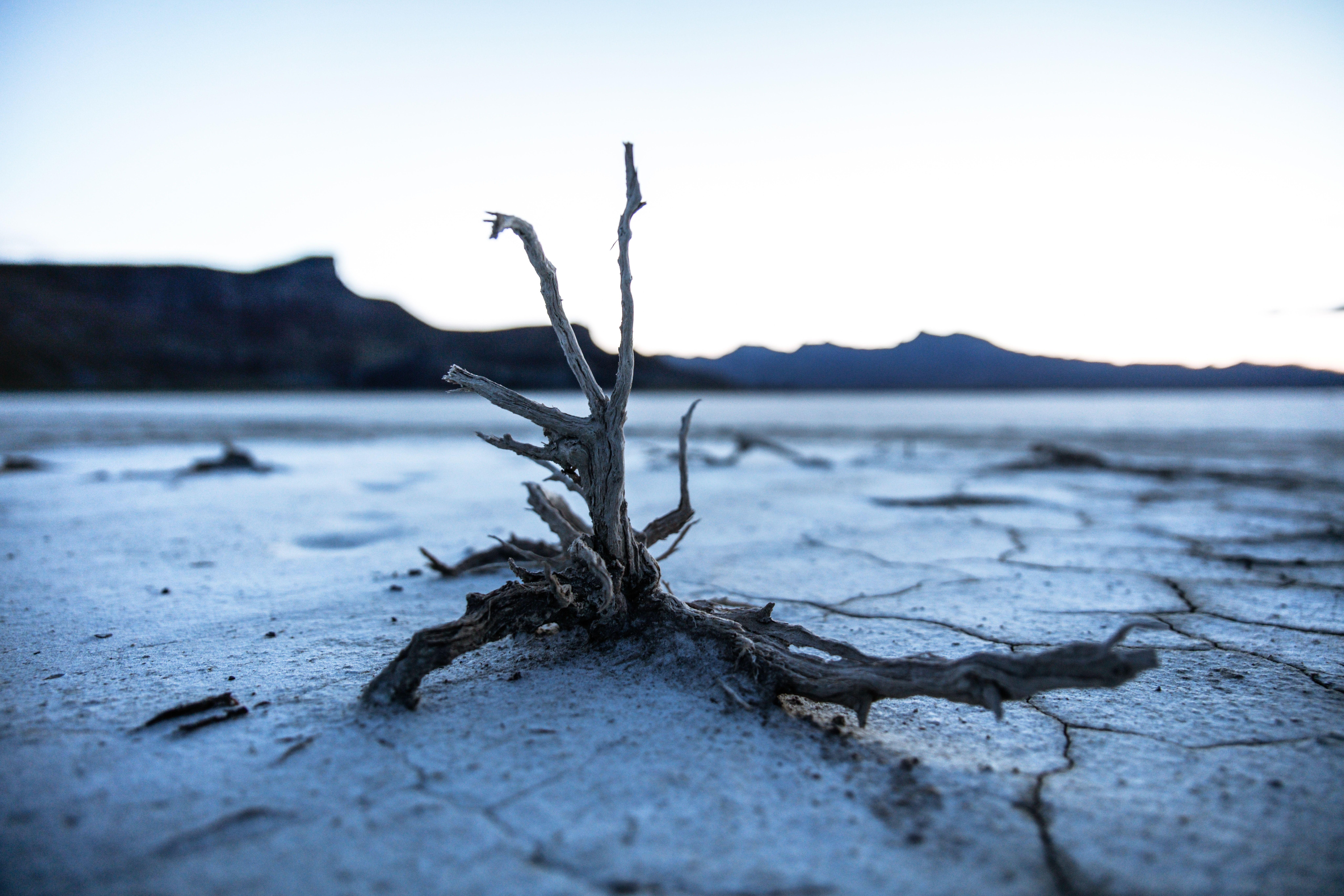 8192x5461 8688x5792 #river bed, #nature, #apocalypse