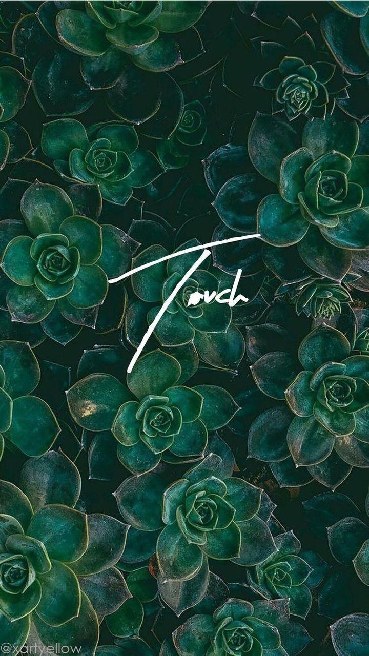 720x1280 HD Tumblr iPhone Wallpaper shared