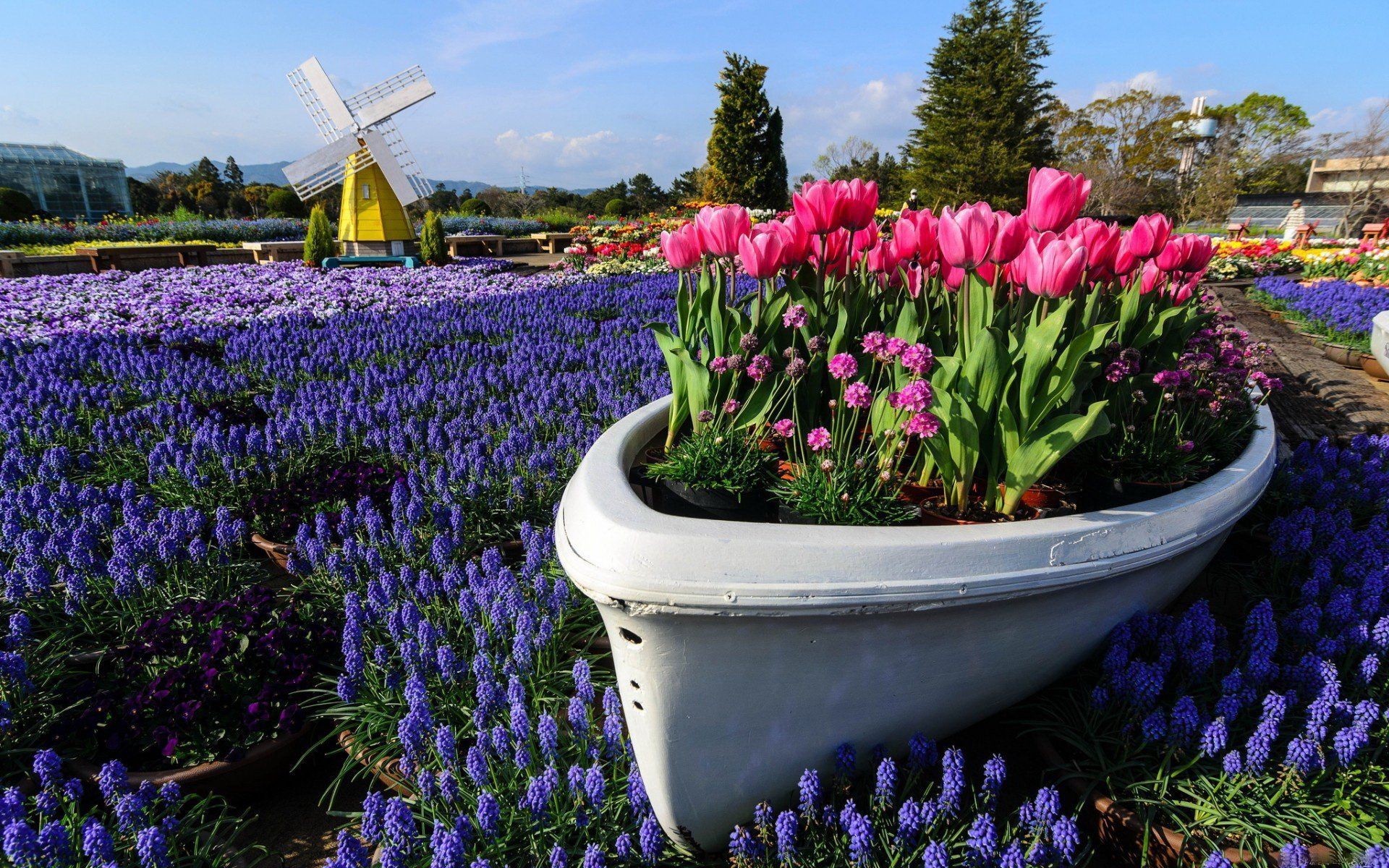 1920x1200 Blooming Garden HD Wallpaperx1200