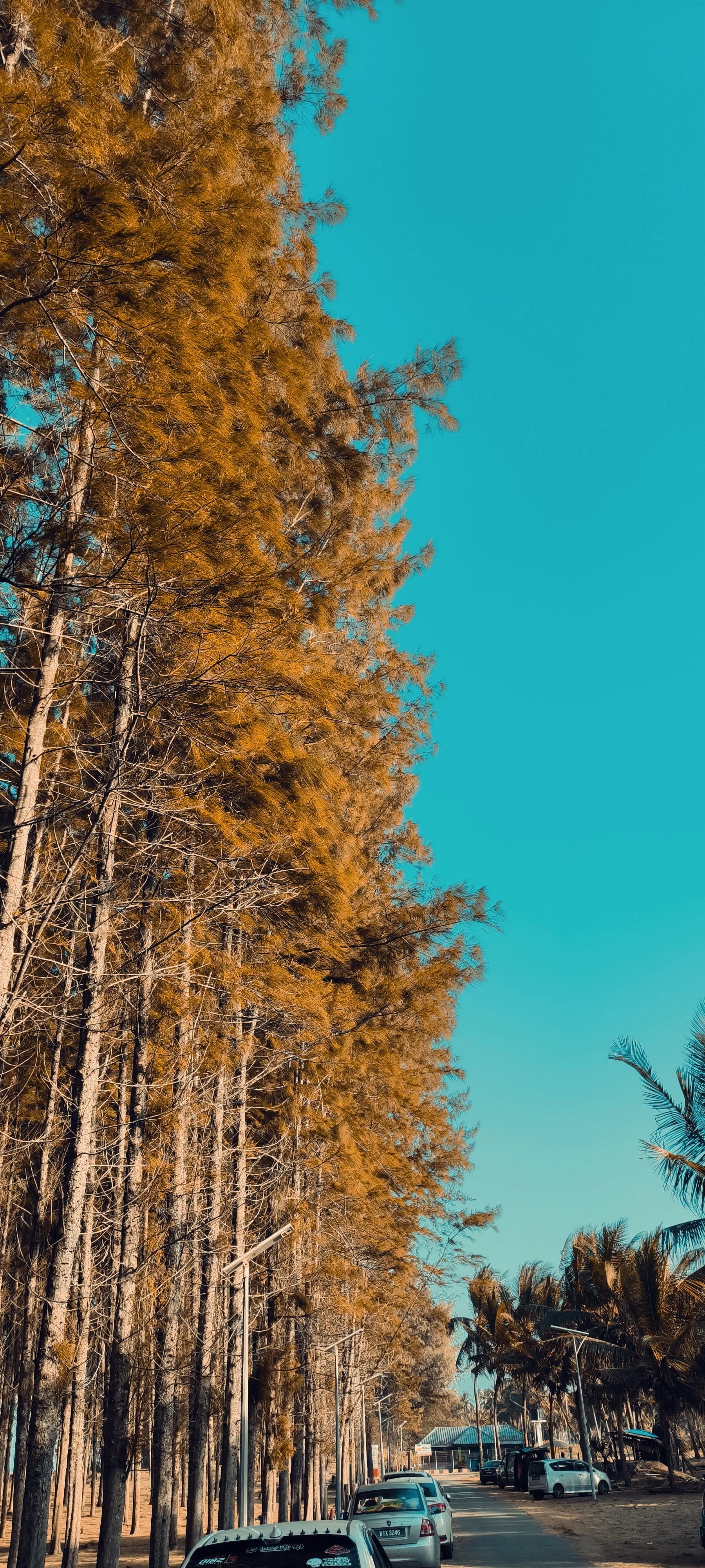 1800x4000 Pantai Senok, Bachok, Kelantan