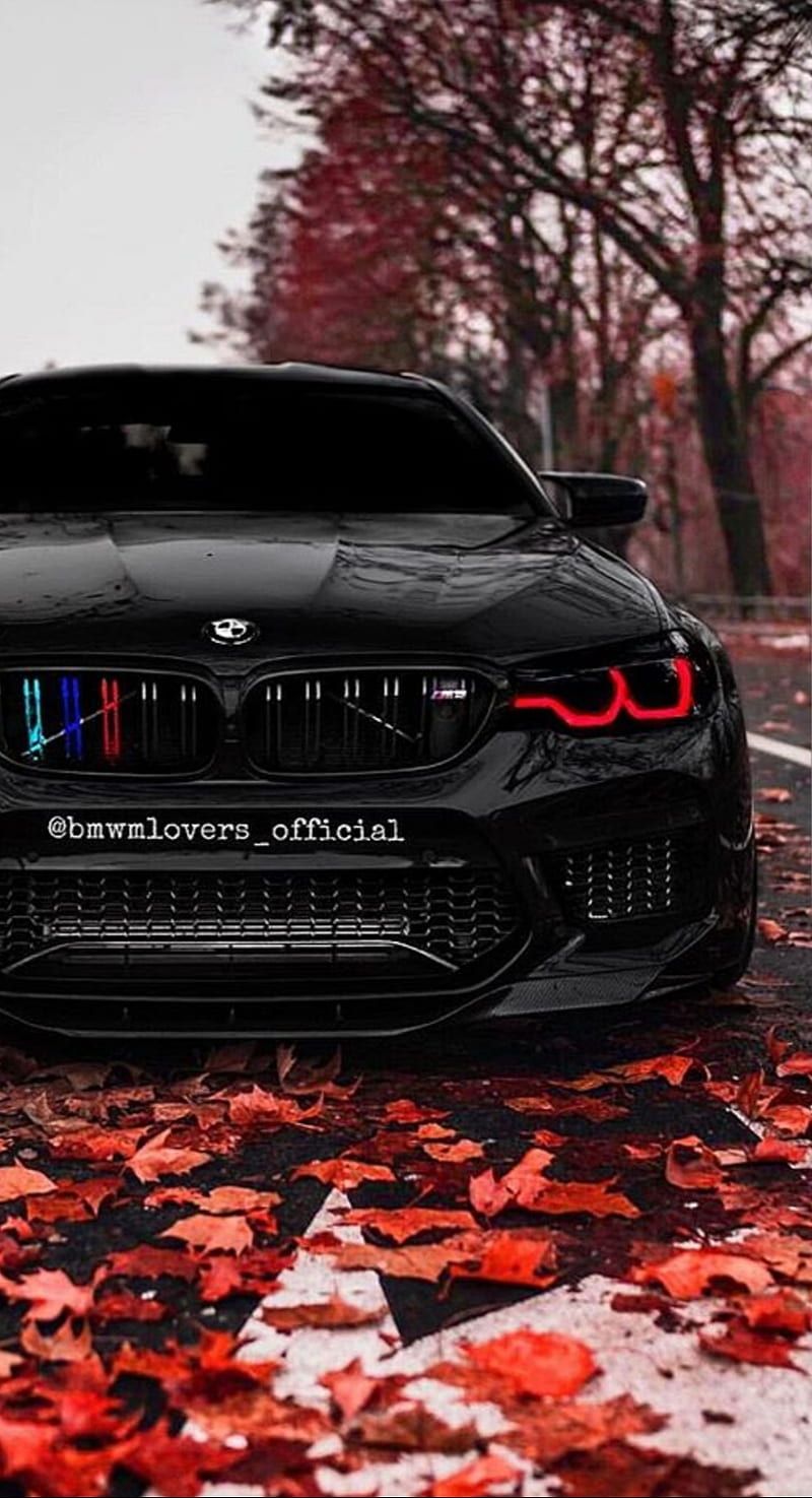 800x1475 Bmw M car, monster, black, HD phone