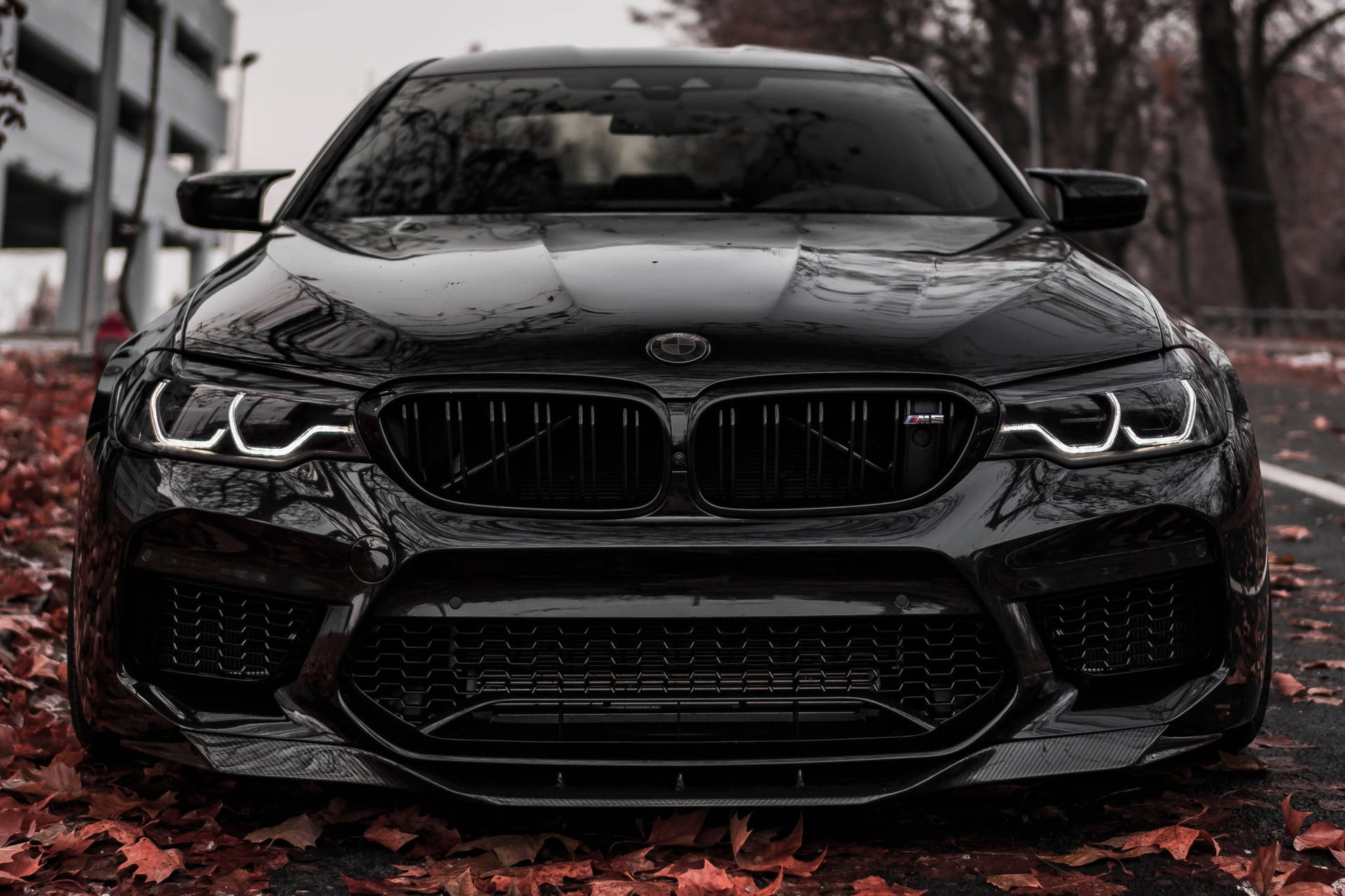 1920x1280 Shiny Black M5 Bmw Laptop Wallpaper