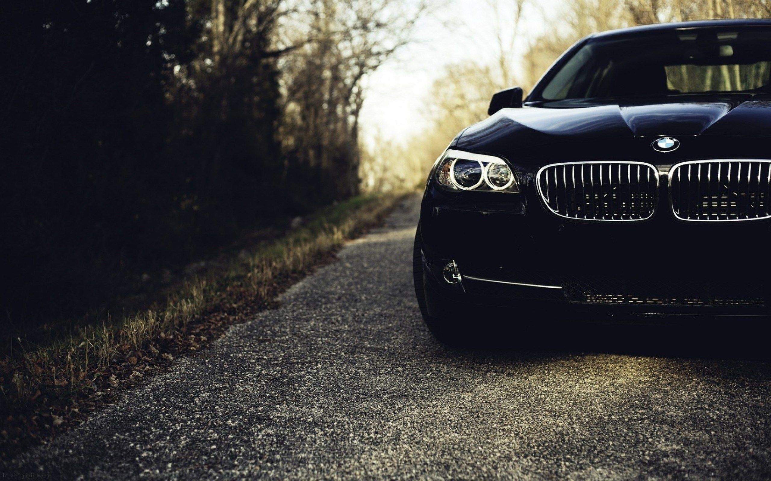 2560x1600 Download Bmw M5 wallpaper for mobile