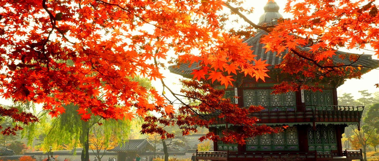 Korean Autumn Wallpapers - Top Free Korean Autumn Backgrounds