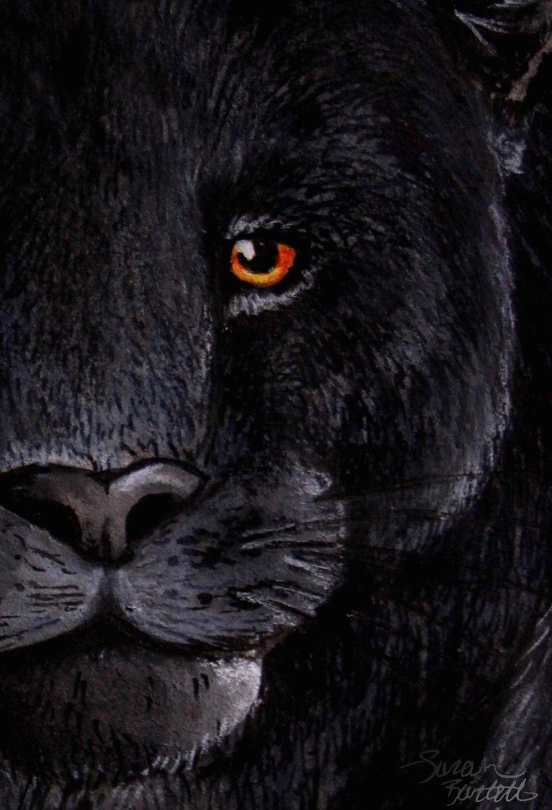800x1174 Black Jaguar Wallpaper HD Download