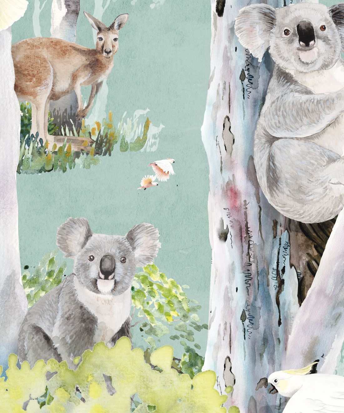 1100x1320 Native Bush Wallpaper • Australian