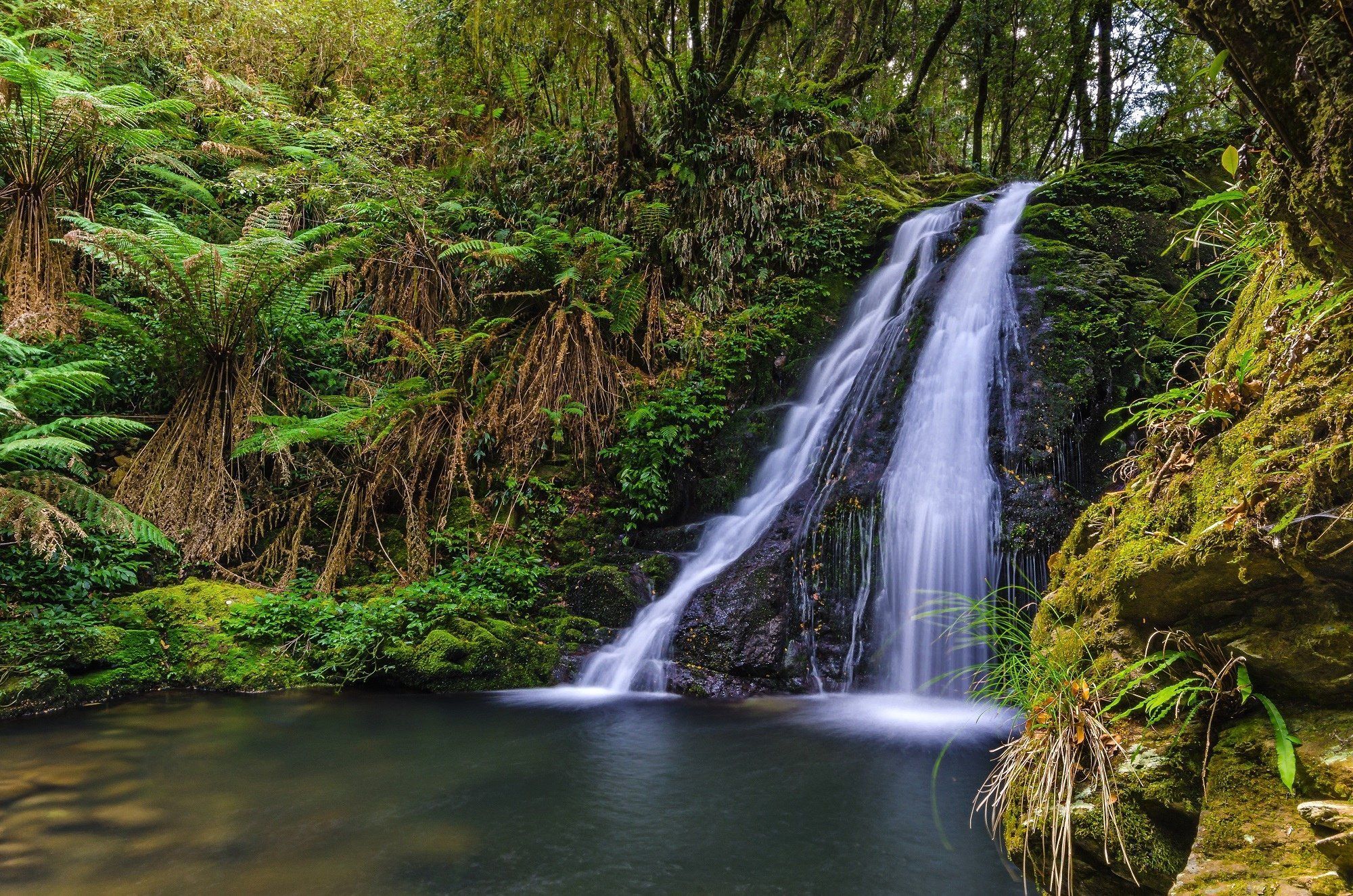 2000x1324 Emerald Fern Falls