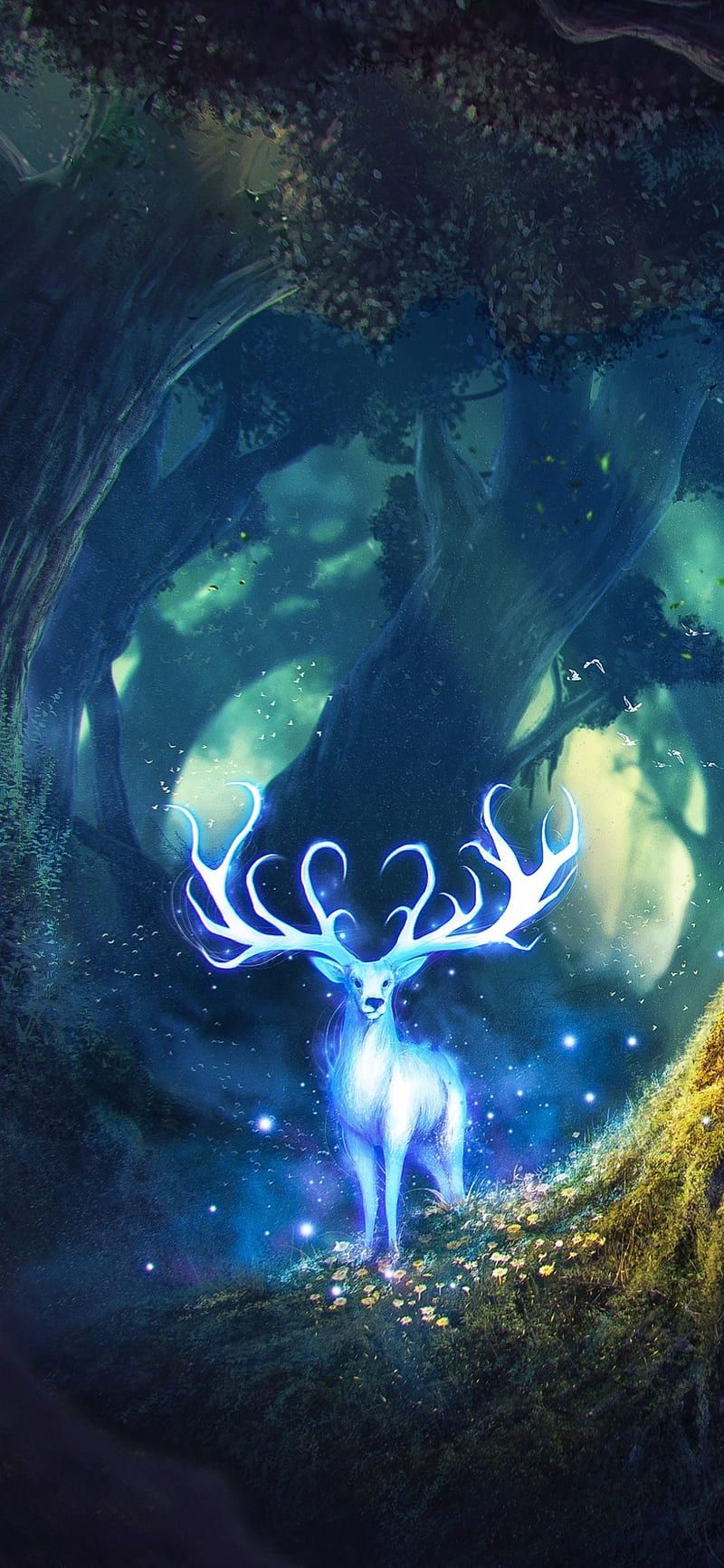 800x1732 HD mystery creatures wallpaper