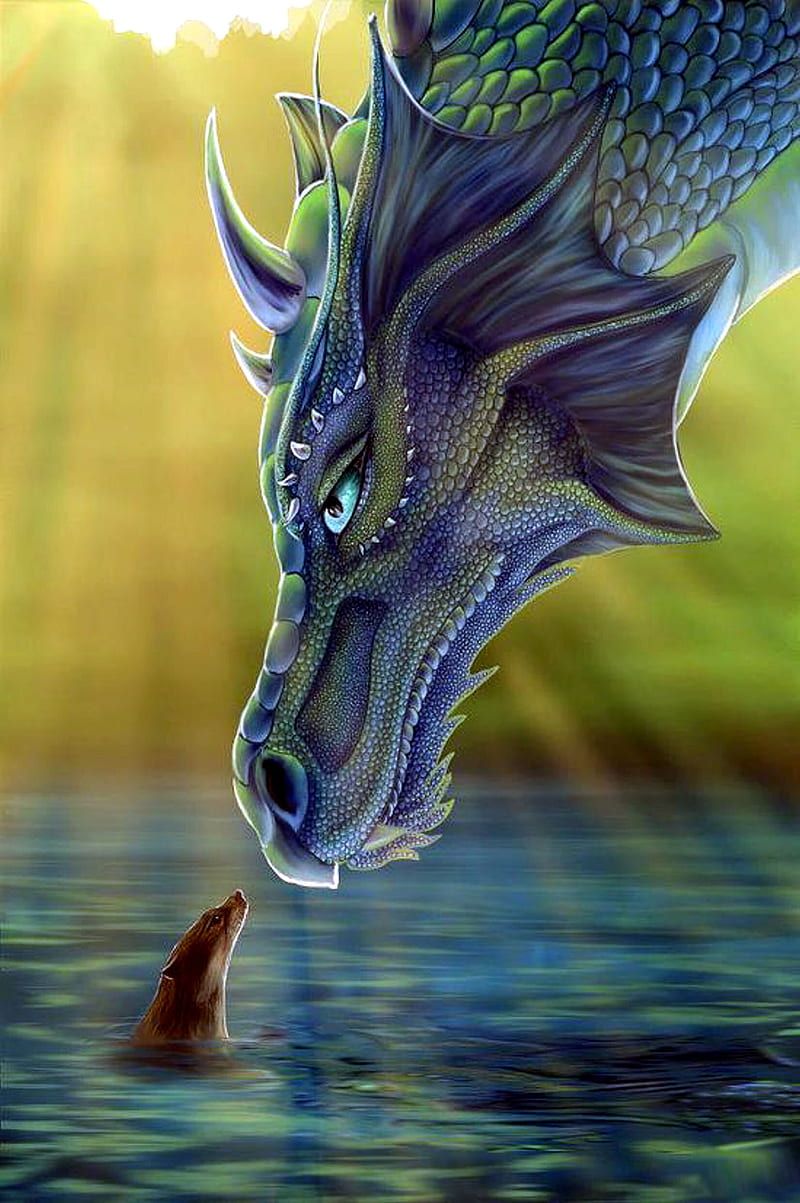 800x1203 Dragon, dragon, serpent, creature