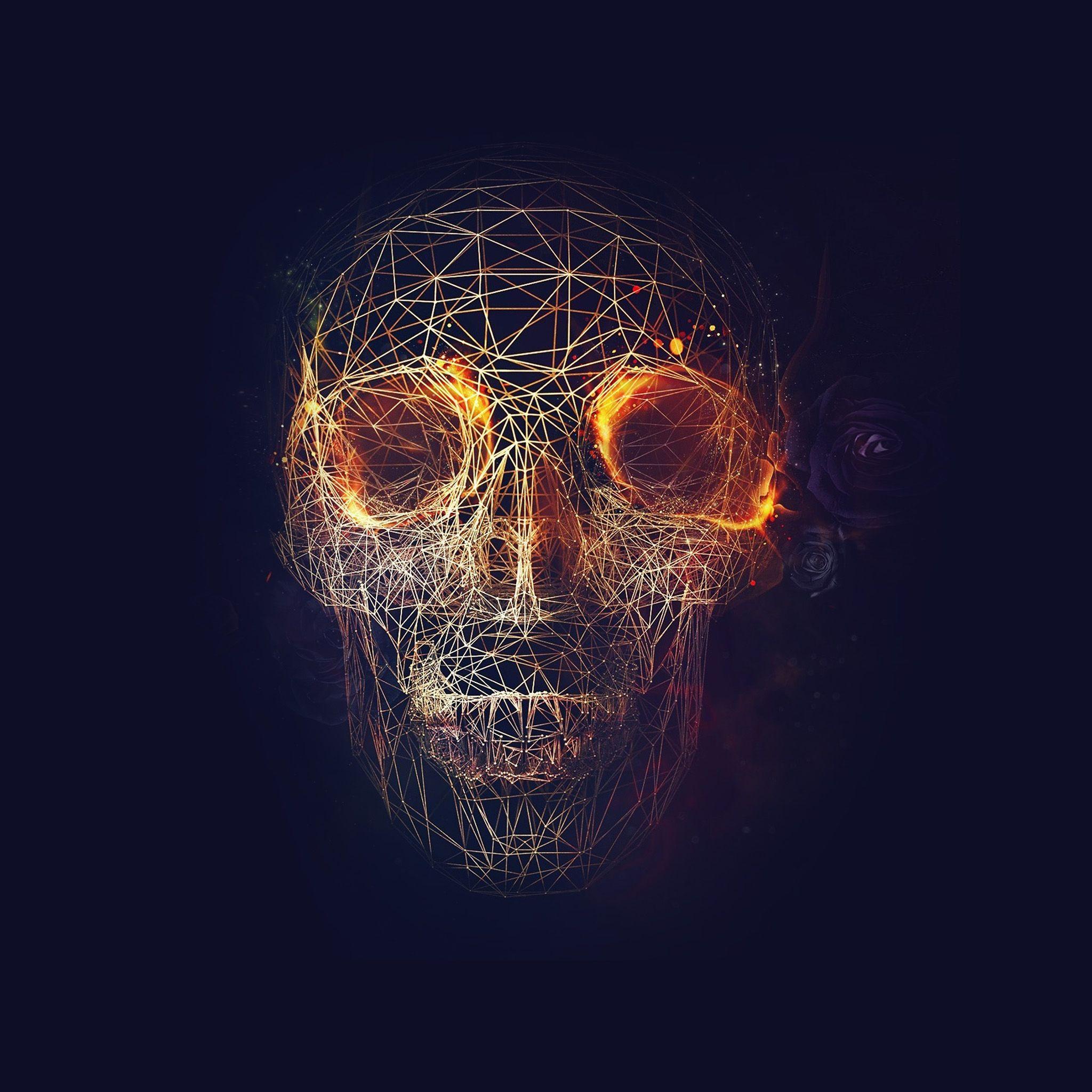 2048x2048 FreeiOS8.com. iPhone wallpaper. digital skull dark