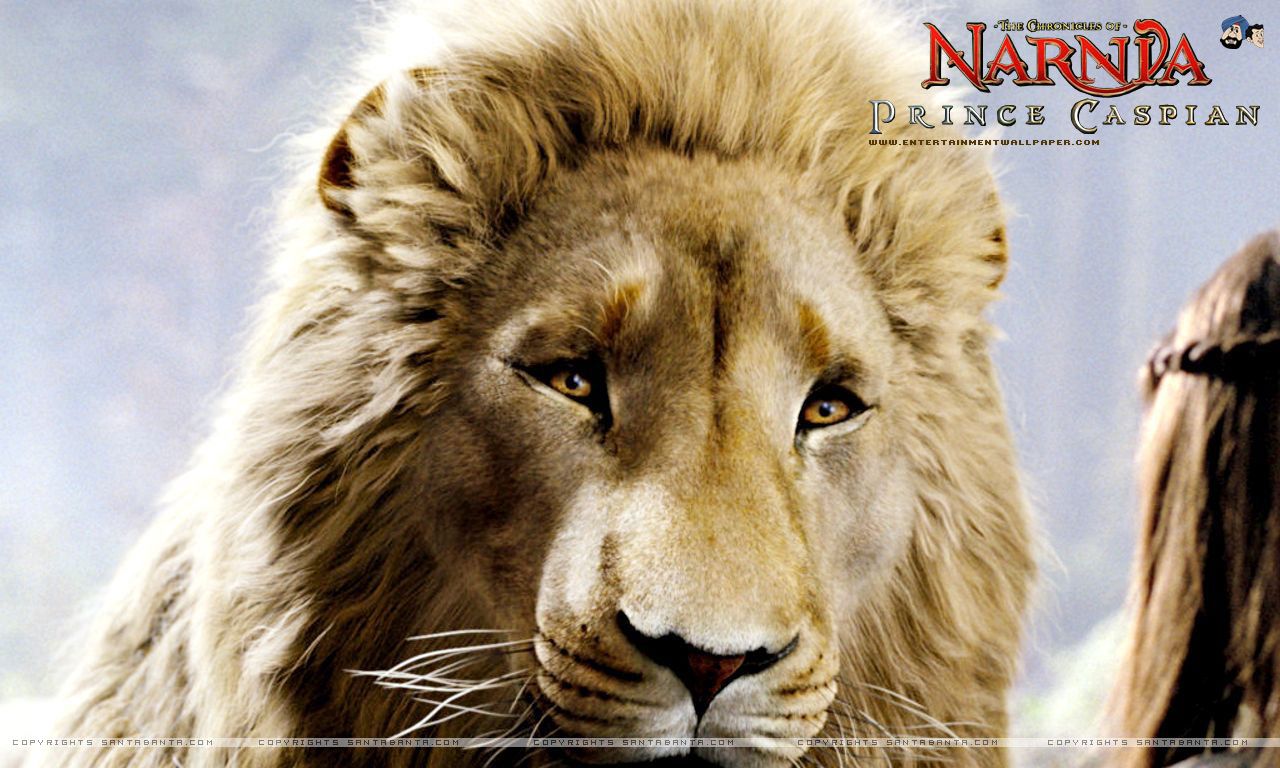 1280x768 The Chronicles of Narnia Prince Caspian