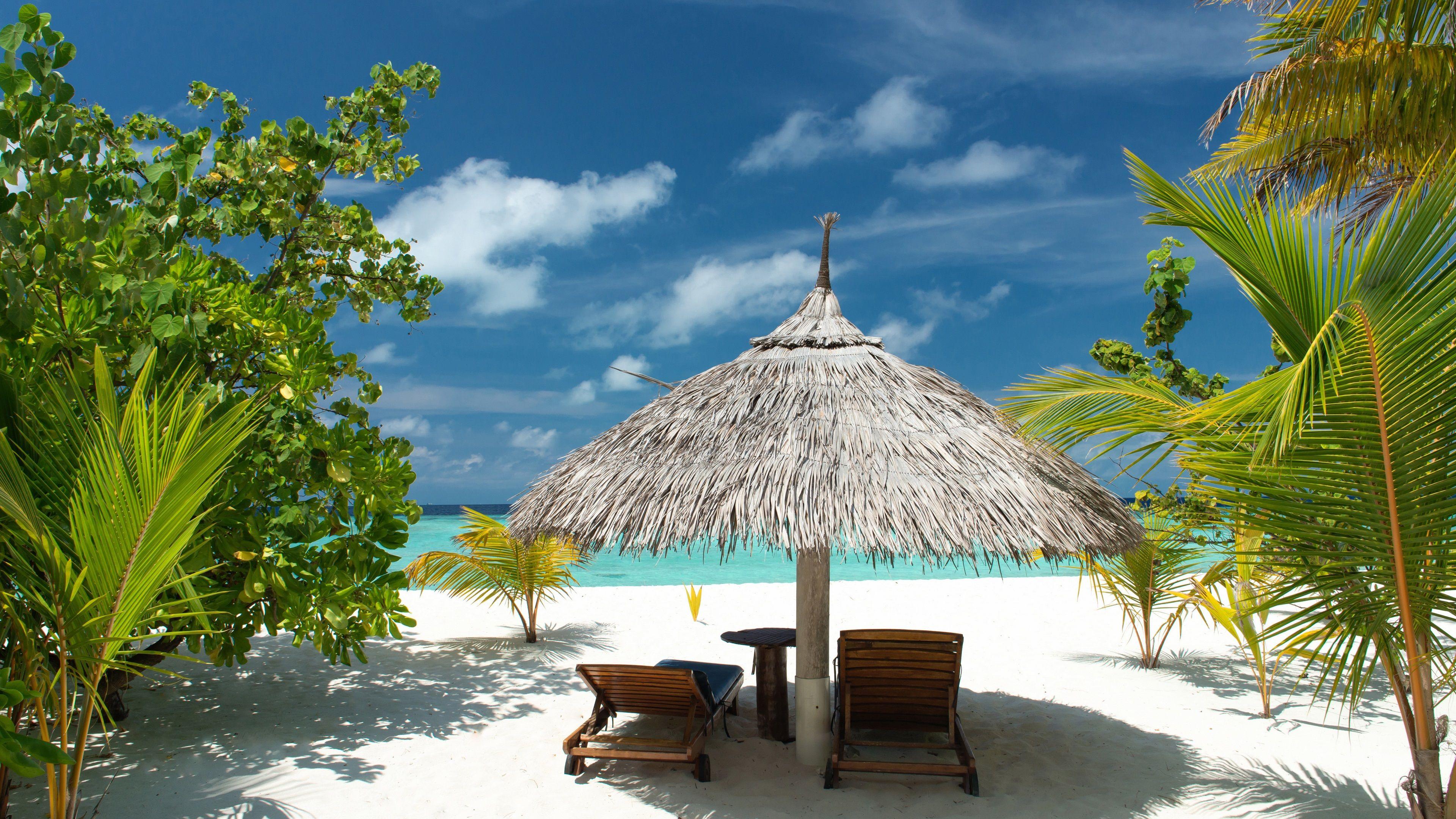 3840x2160 Wallpaper Tropical beach, sand, palm trees, sea, vacation