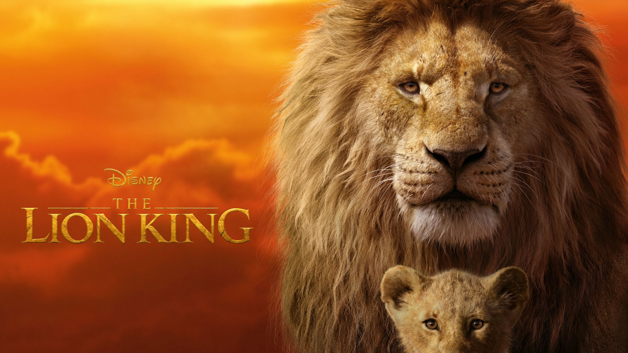 2560x1440 Download Simba Mufasa The Lion King