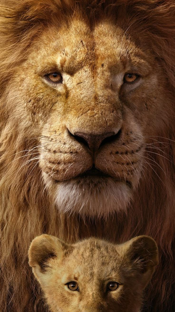 736x1309 Mufasa & Simba In The Lion King 4K