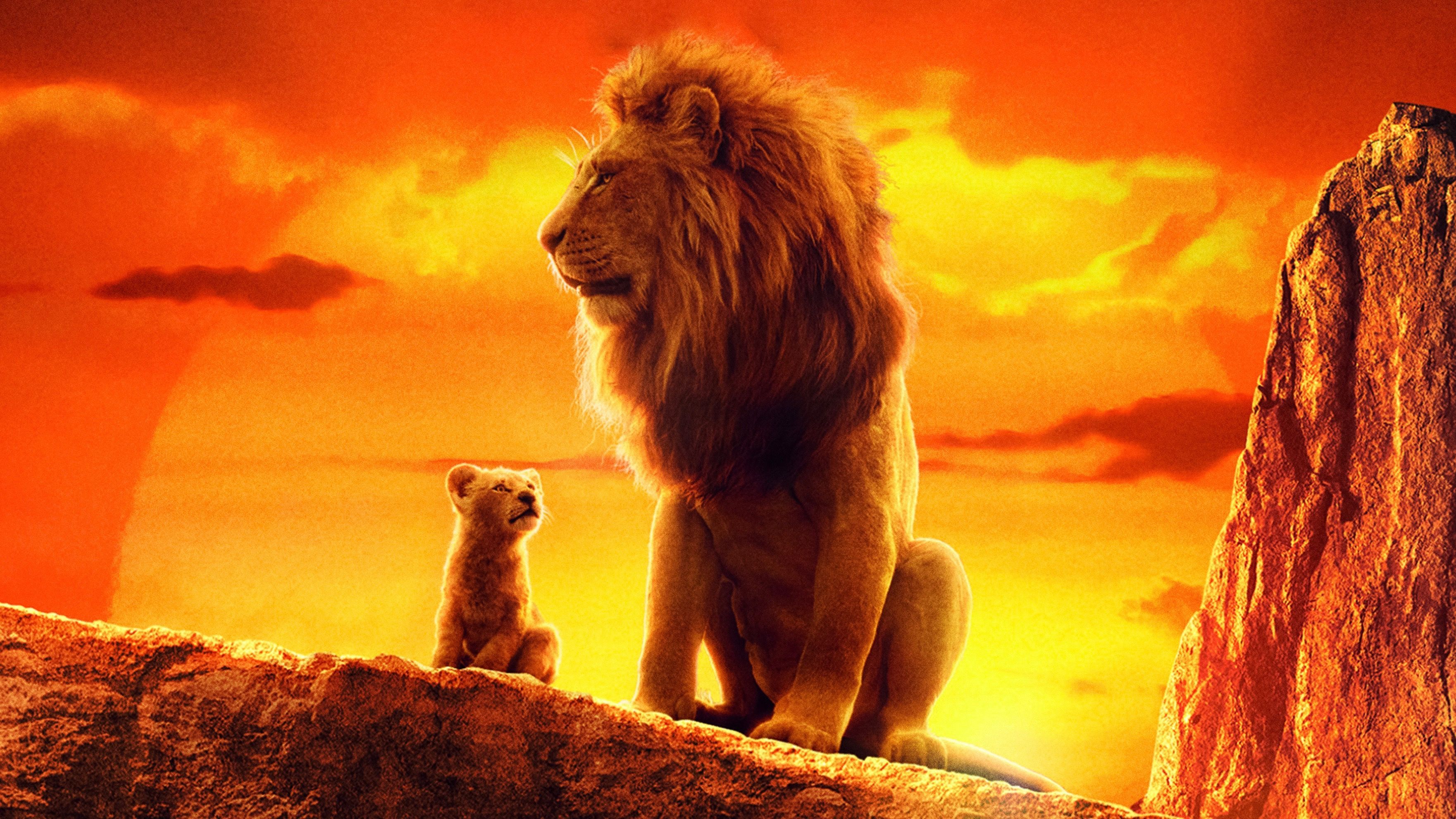 3523x1982 The Lion King) Simba Movie
