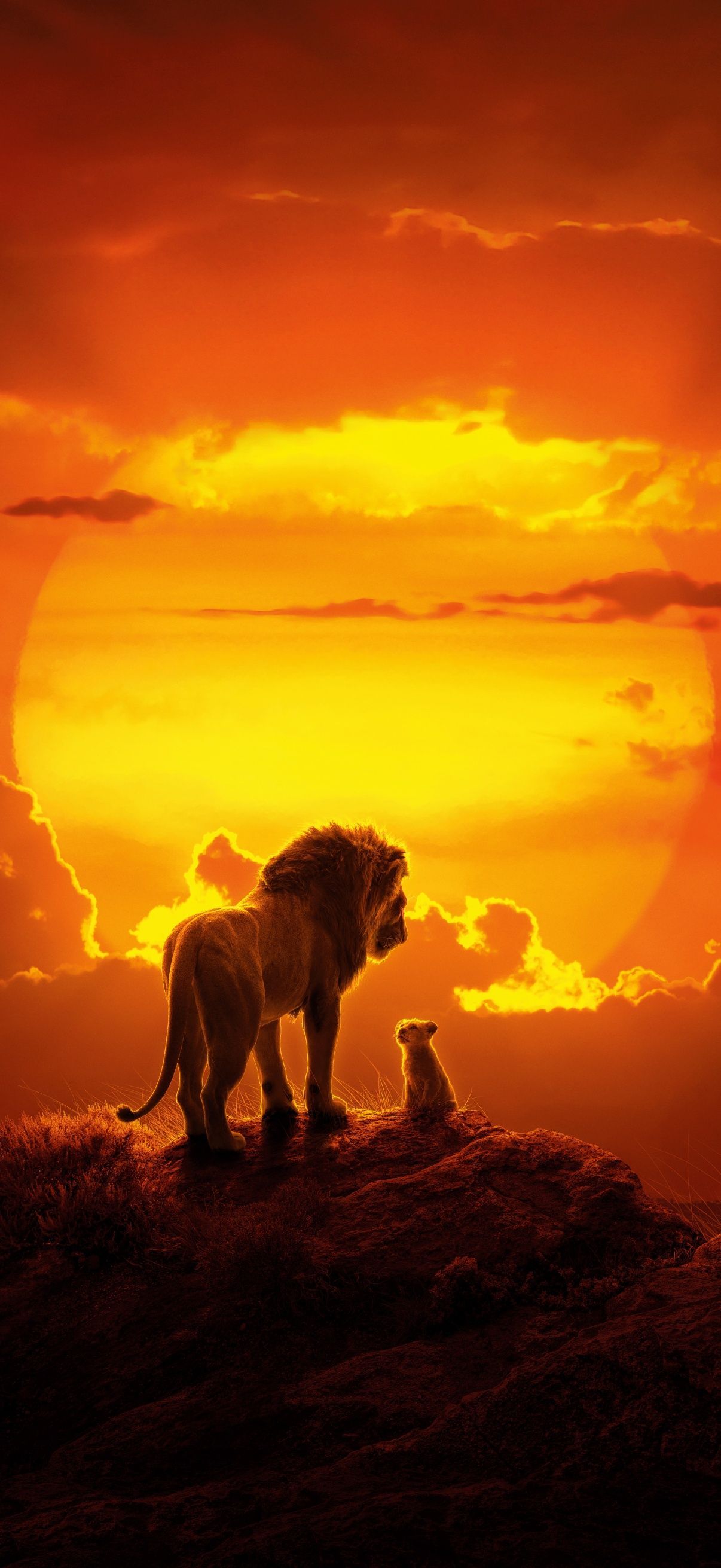 1206x2622 The Lion King Wallpaper 4K, Simba