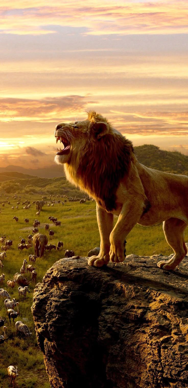 736x1513 The Lion King, king of jungle, movie