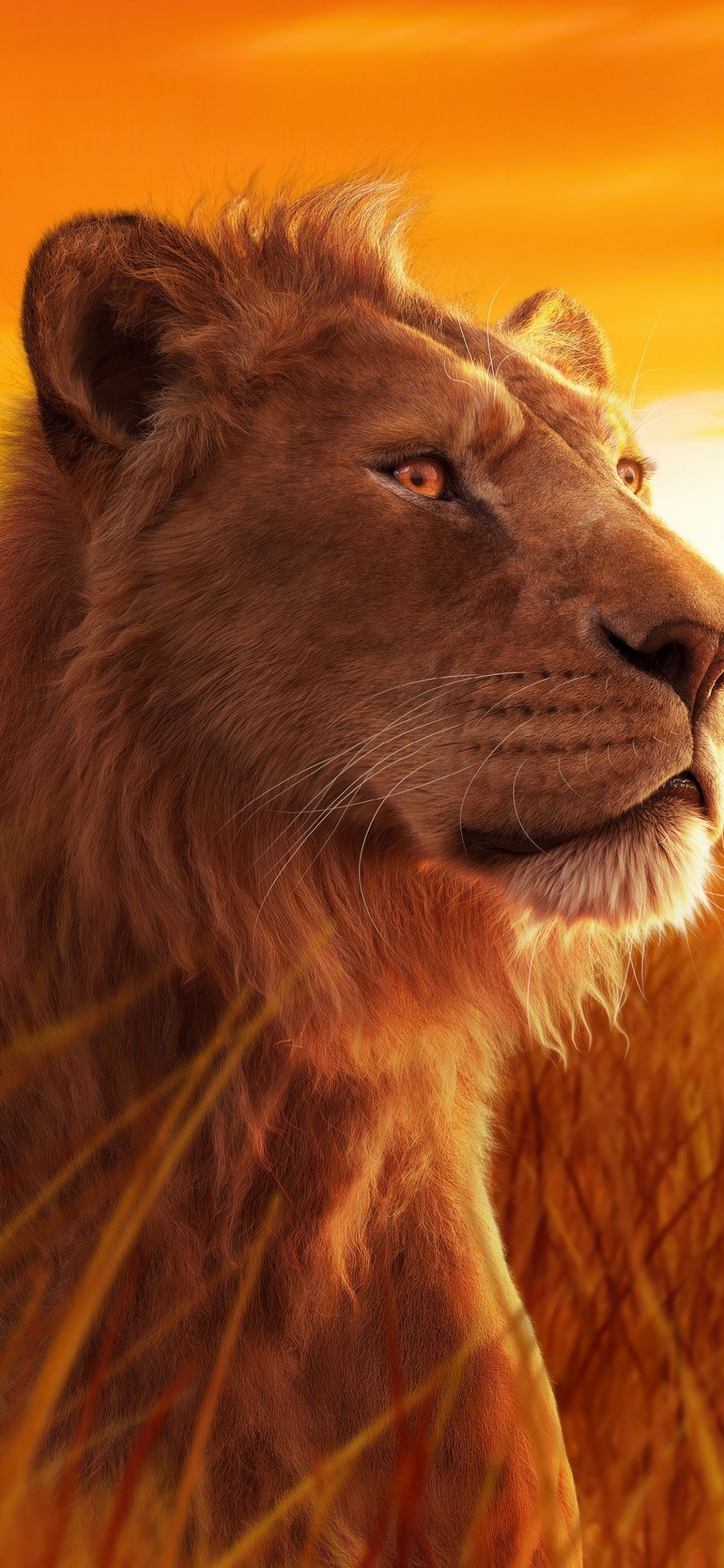 1284x2778 Free HD Lion King Disney Movie Wallpaper