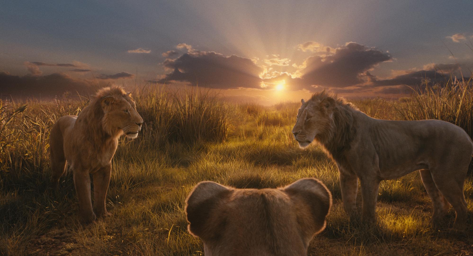 1998x1080 Mufasa: The Lion King