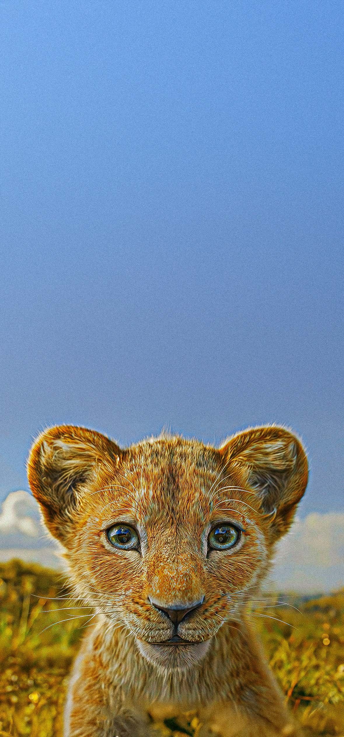 1179x2526 Movie Wallpaper