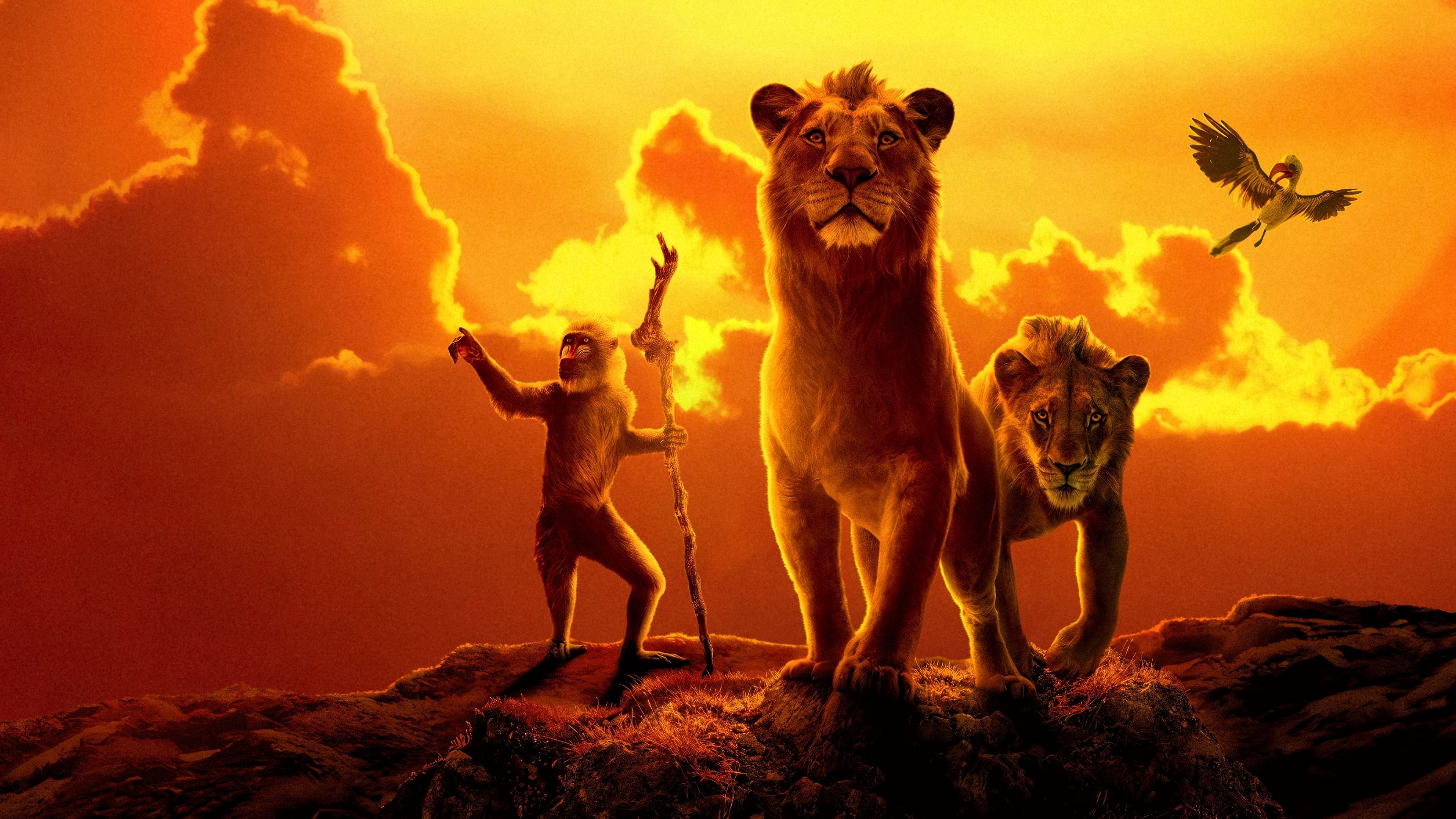3840x2160 Mufasa The Lion King HD Wallpaper